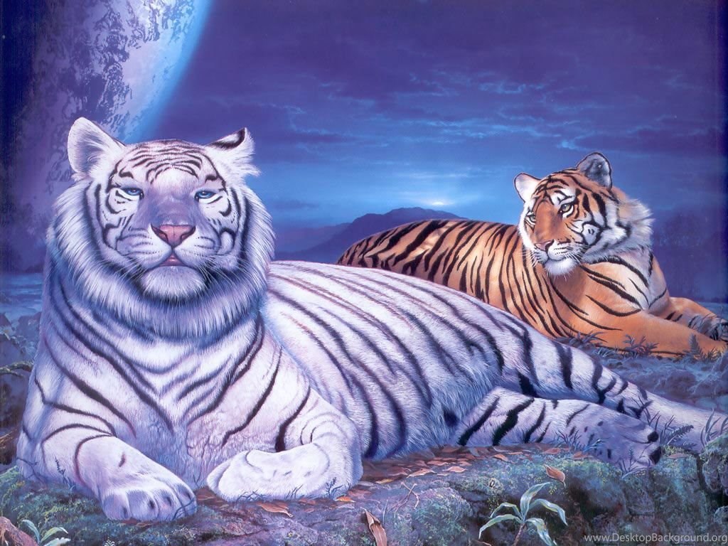 3D Hd Tiger Wallpapers