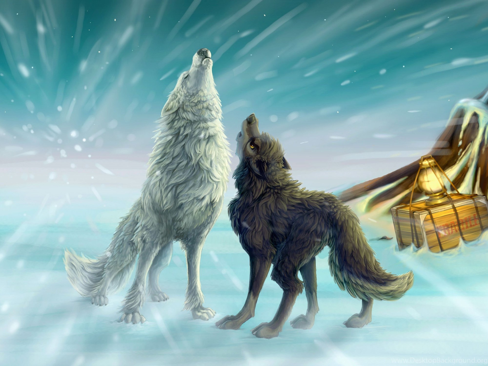 3D Hd Wolf Wallpapers