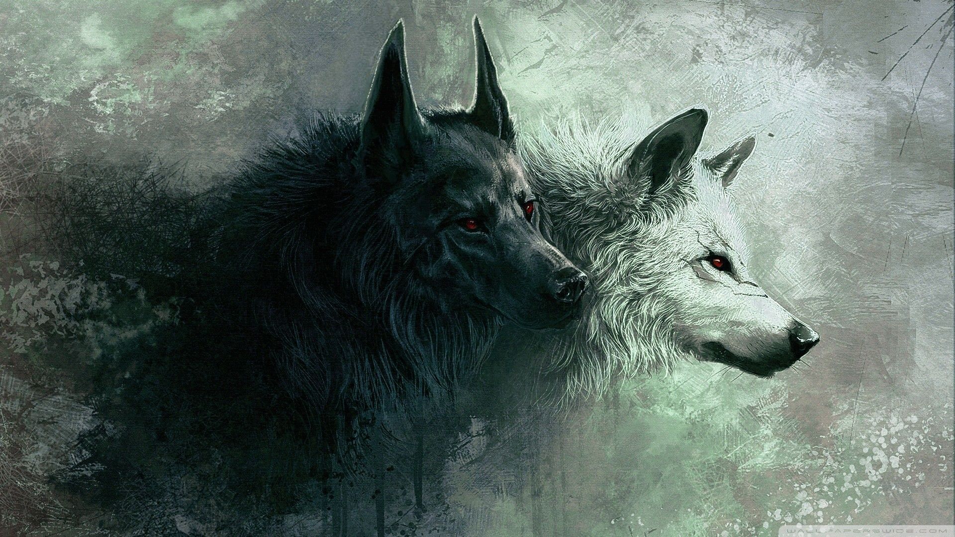 3D Hd Wolf Wallpapers