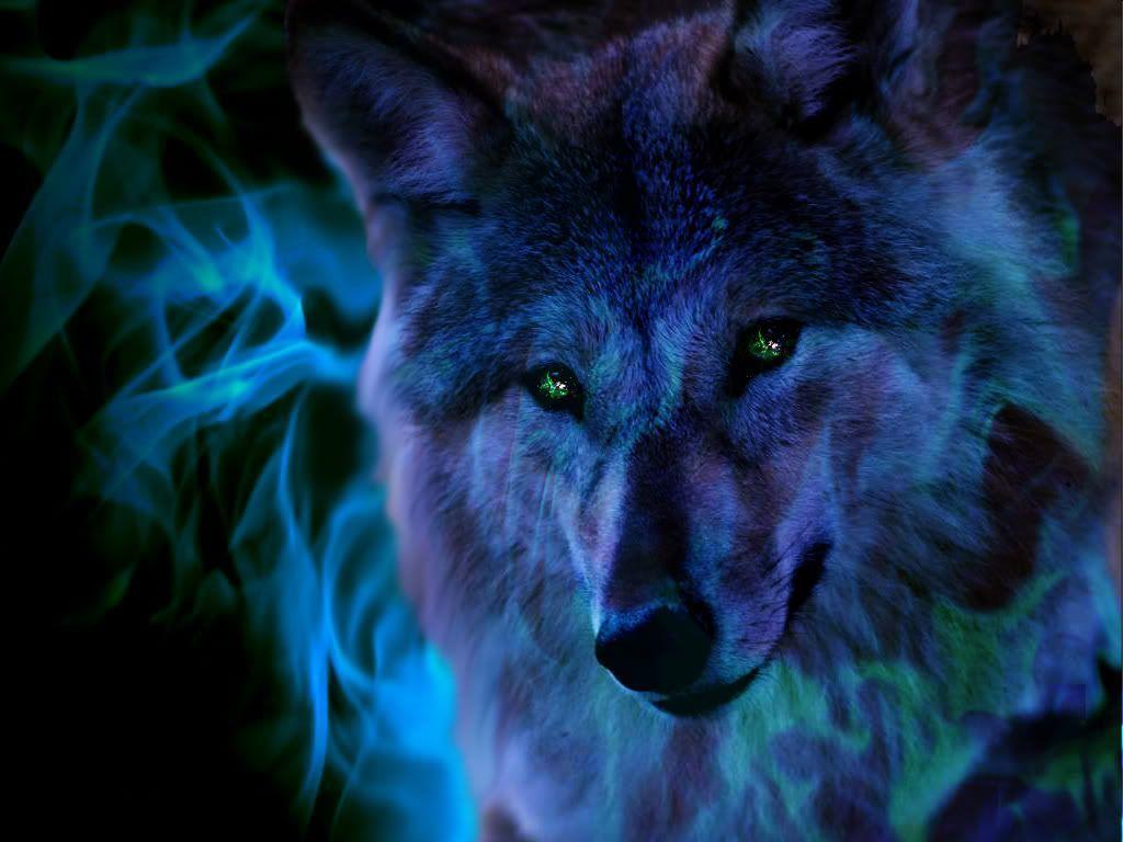 3D Hd Wolf Wallpapers