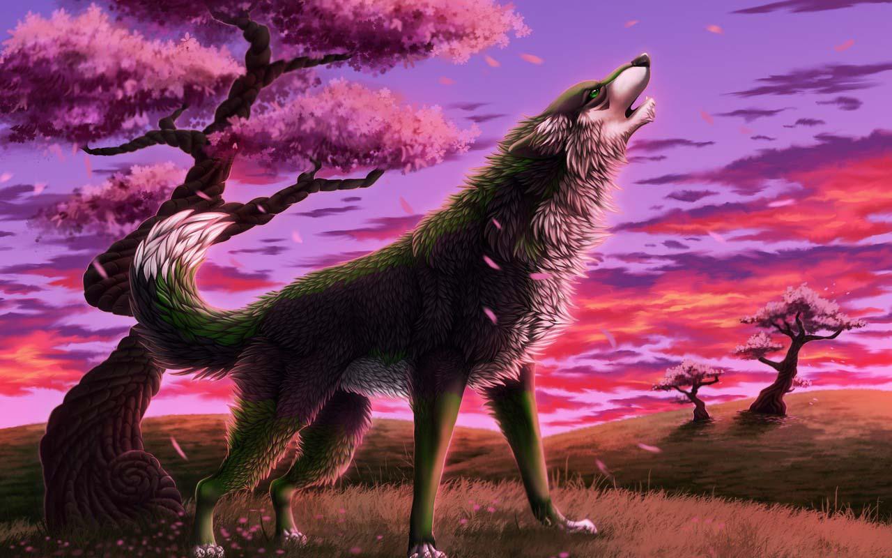 3D Hd Wolf Wallpapers