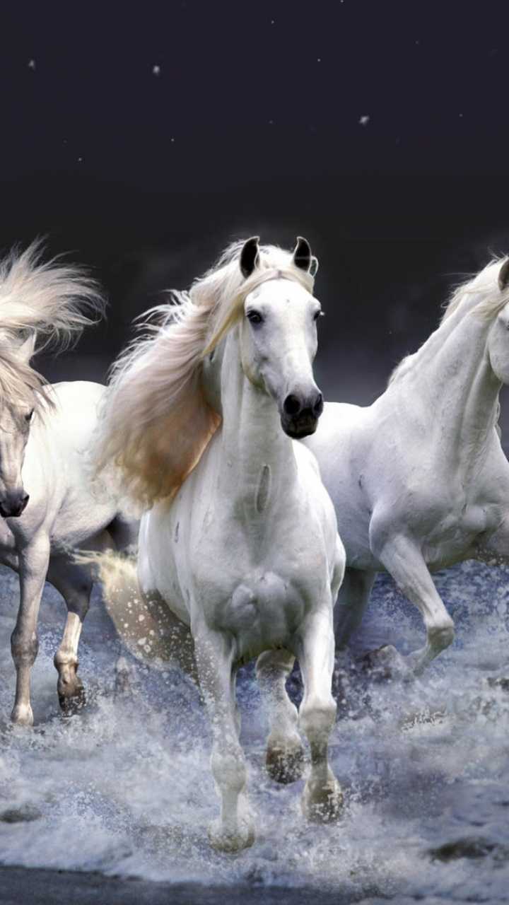 3D Horse Wallpapers