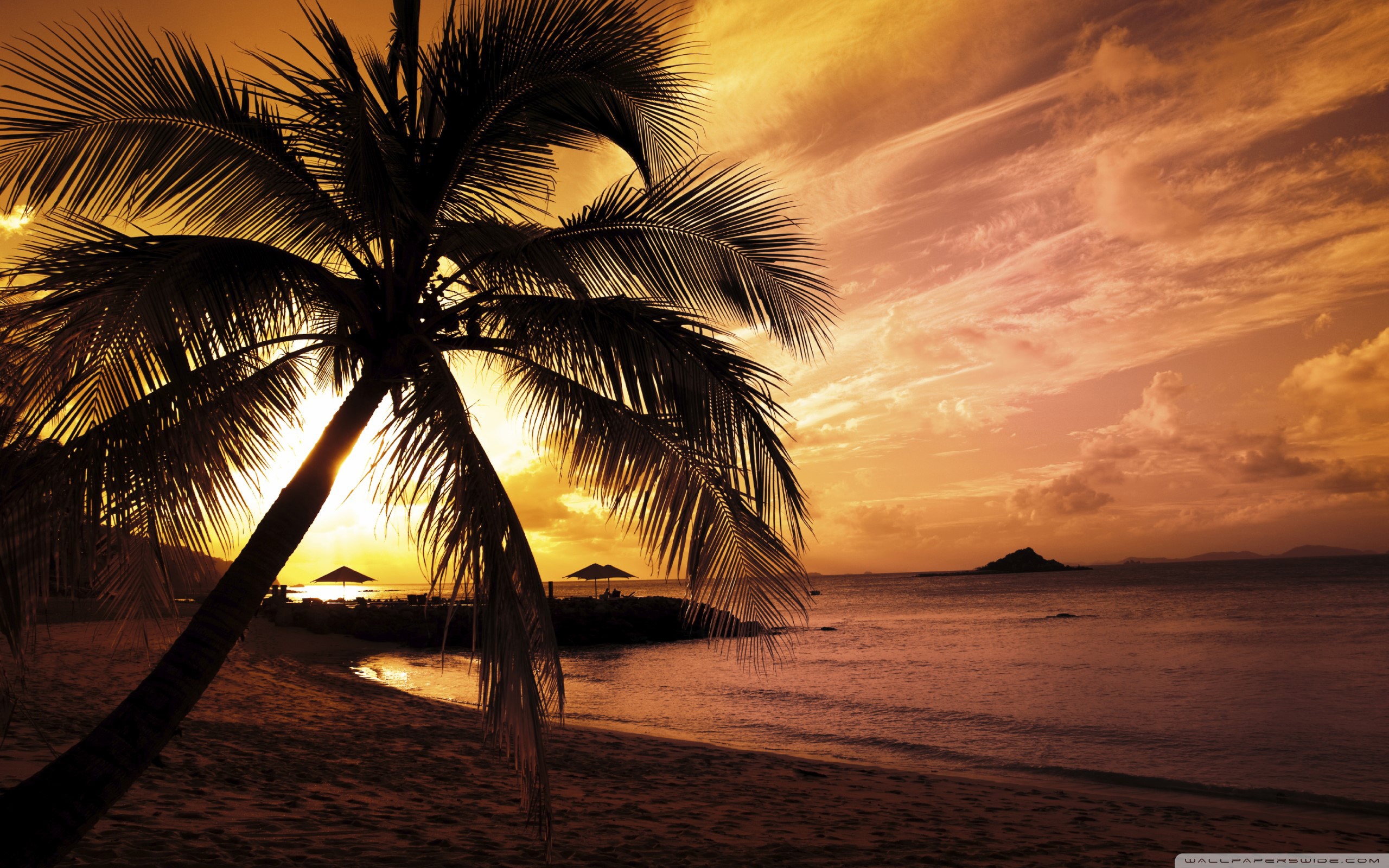 3D Island In Sunset Wallpapers