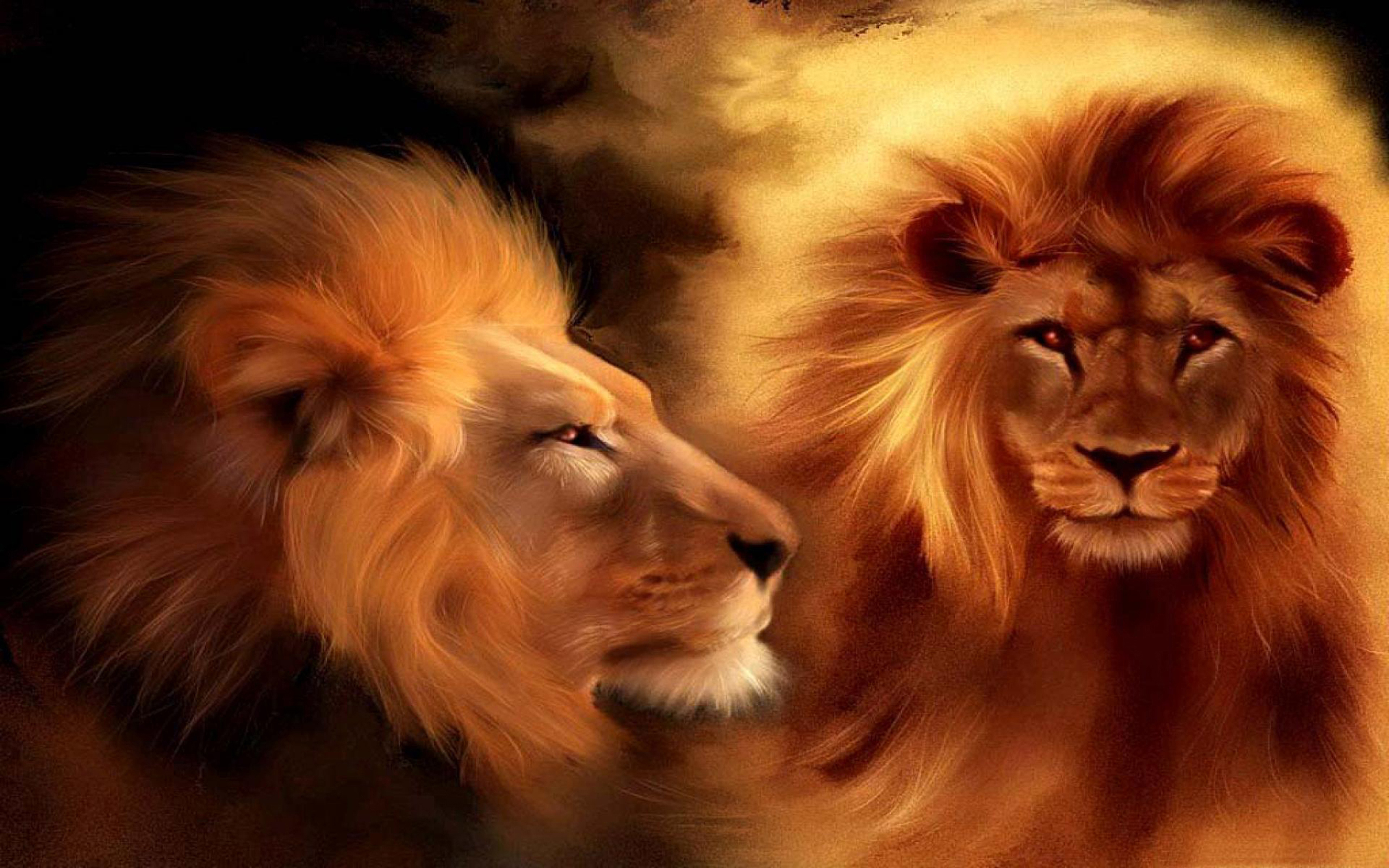 3D Lion Wallpapers