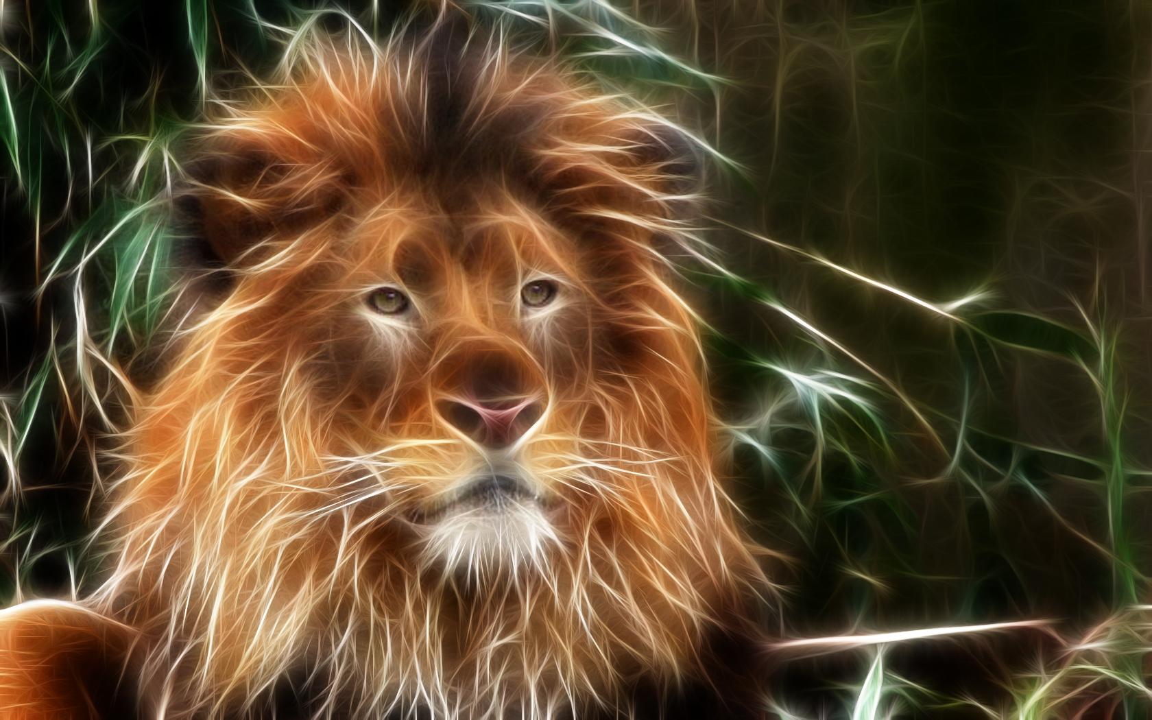 3D Lion Wallpapers