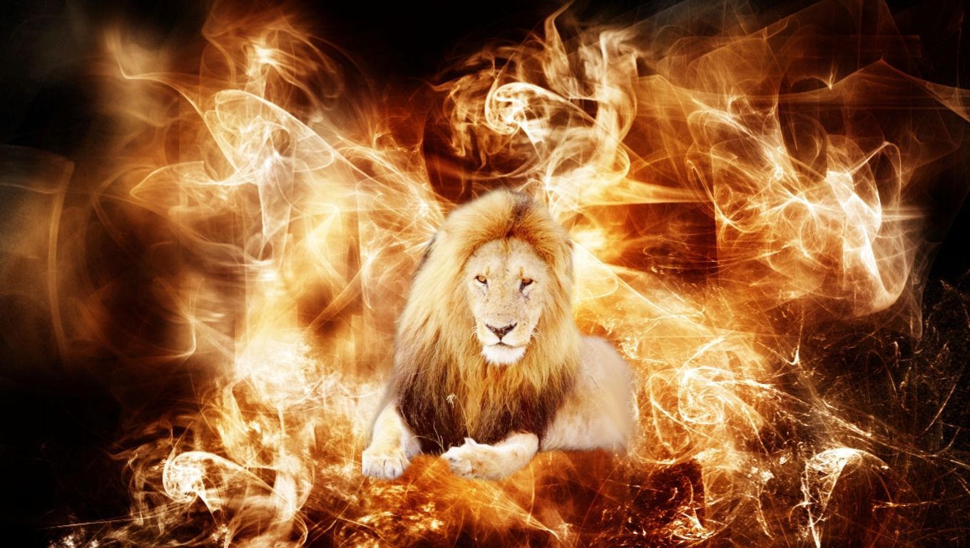 3D Lion Wallpapers