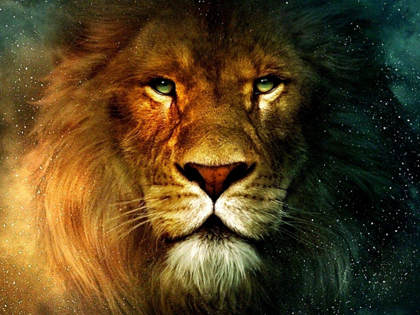 3D Lion Wallpapers