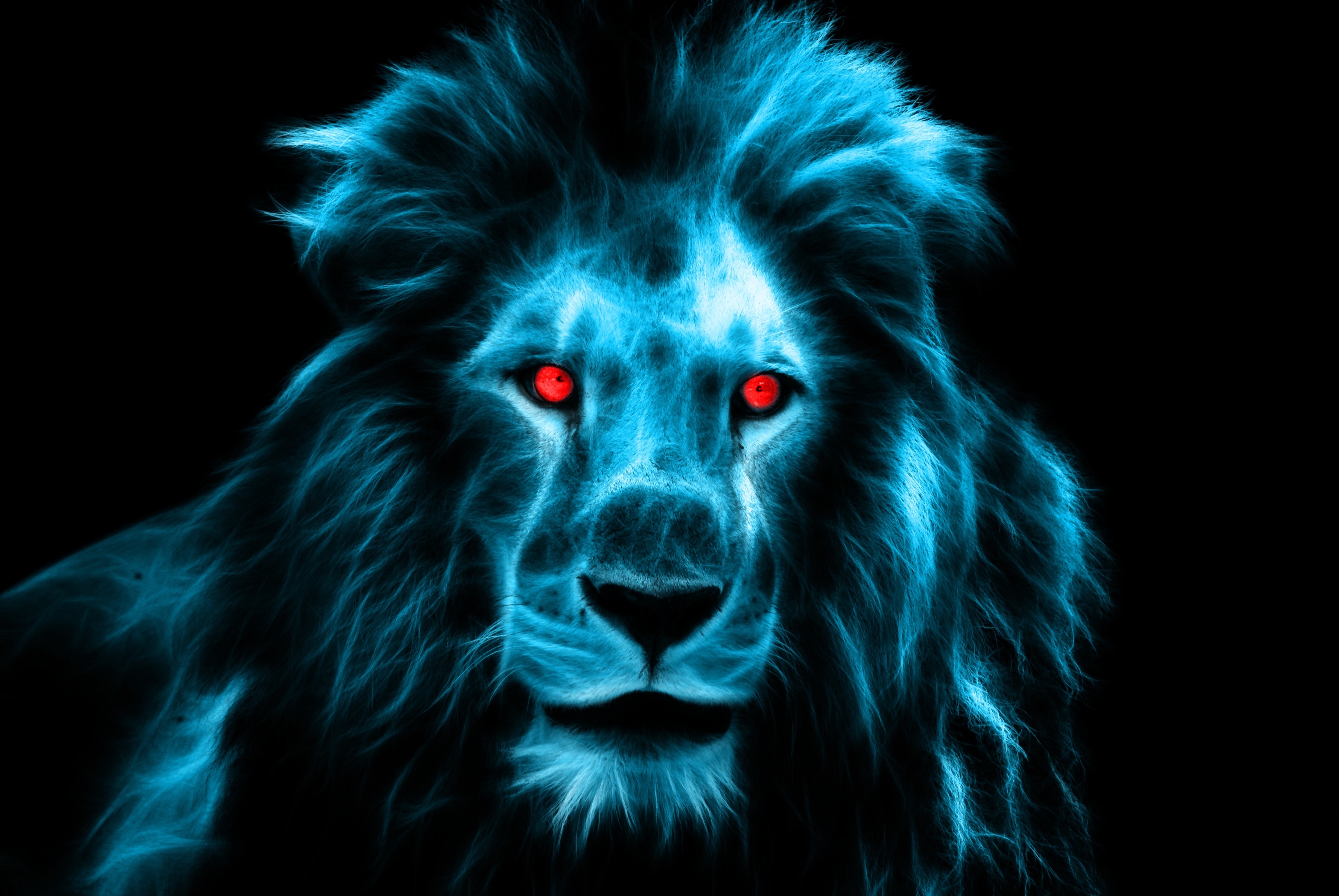 3D Lion Wallpapers
