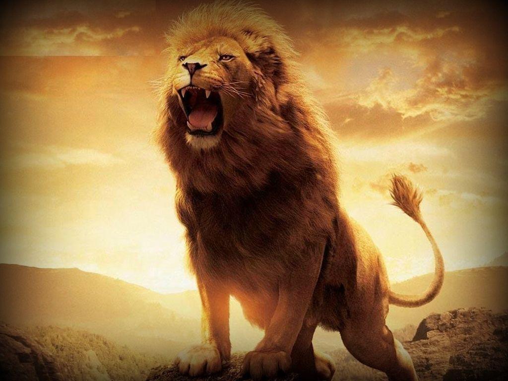 3D Lion Wallpapers