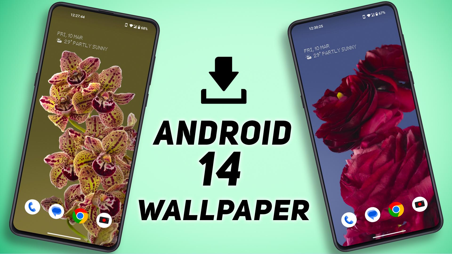 3D Live Wallpapers