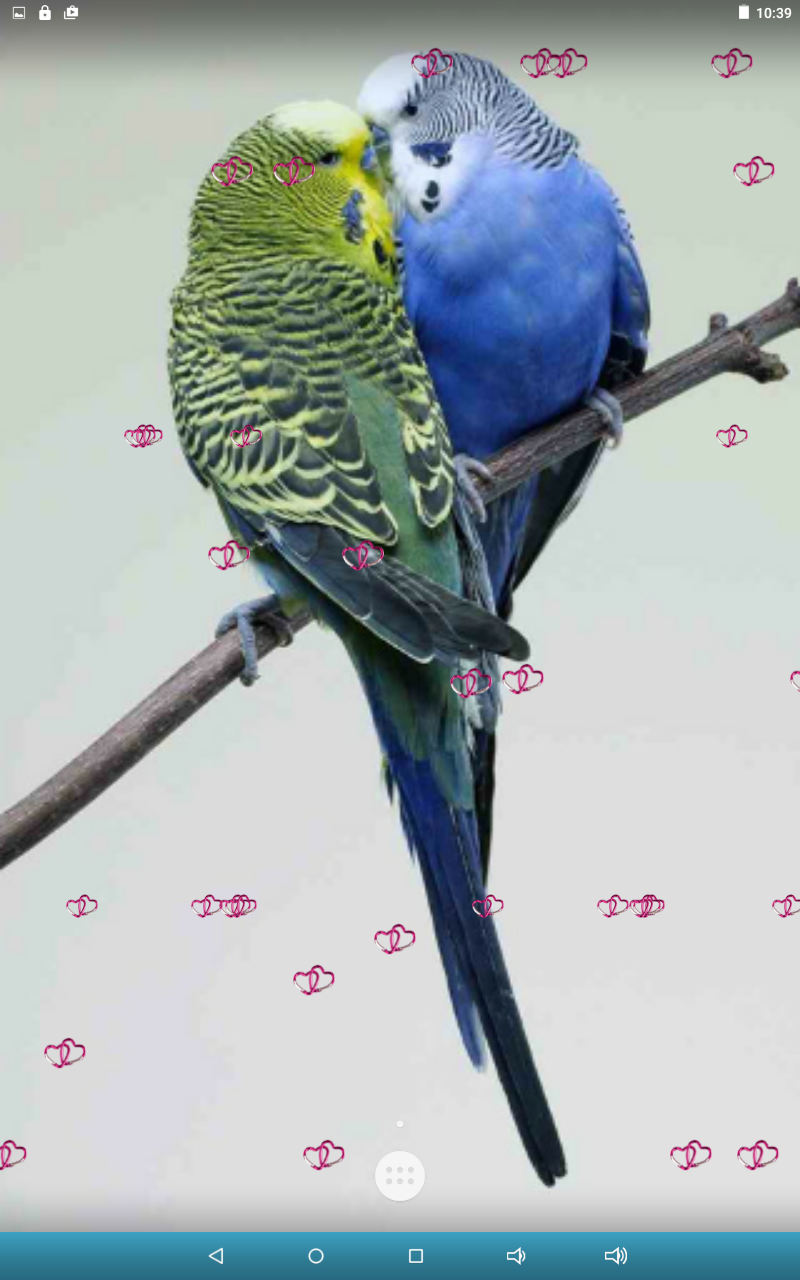 3D Love Birds Wallpapers