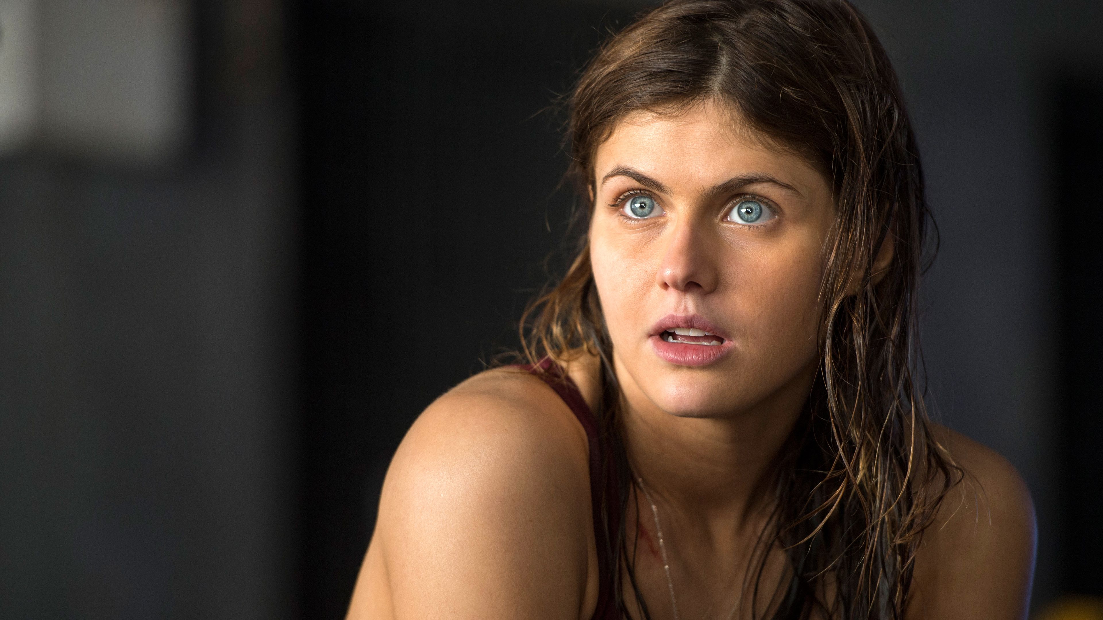 4K Alexandra Daddario 2019 Wallpapers