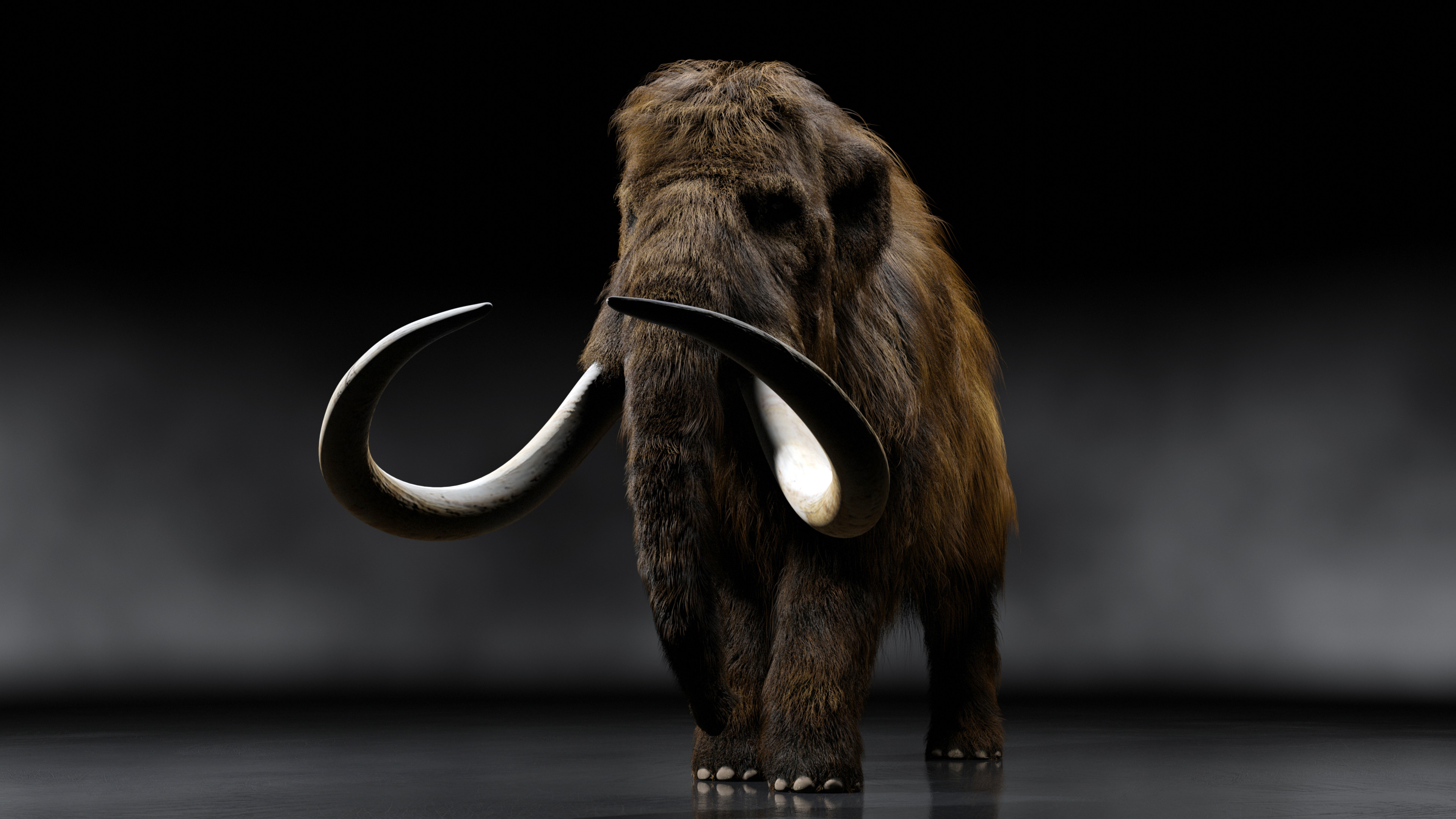 4K Cute Baby Mammoth Wallpapers