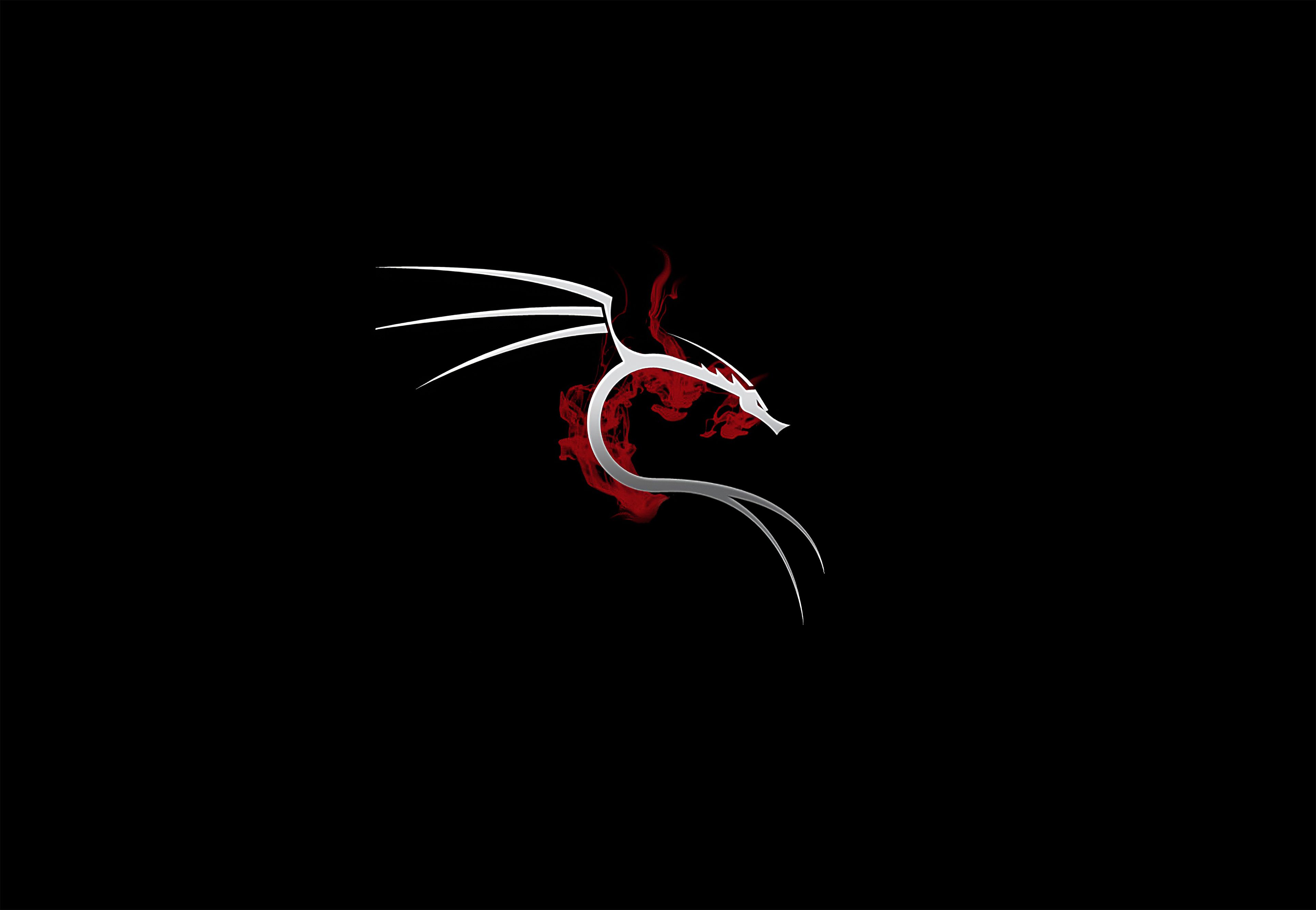 4K Desktop Kali Linux Wallpapers