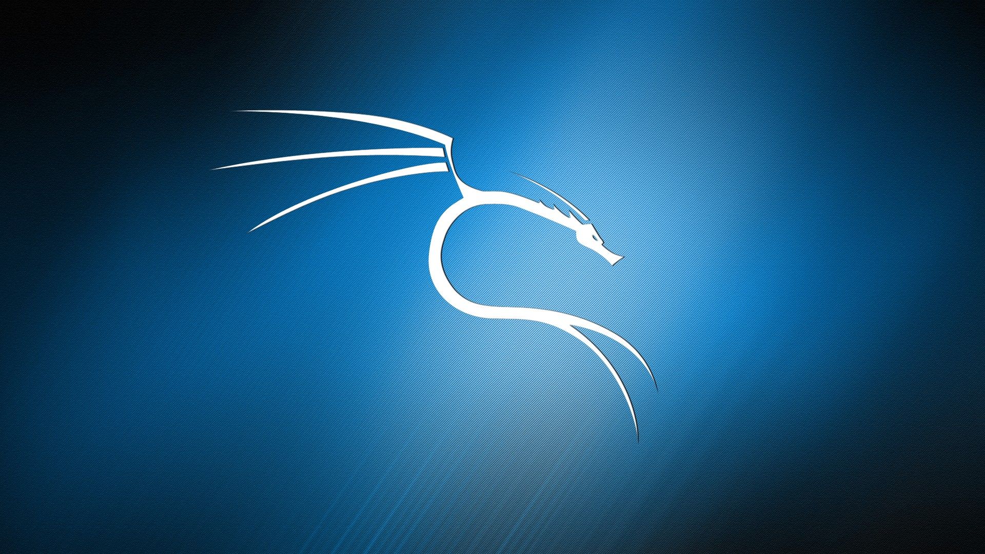 4K Desktop Kali Linux Wallpapers