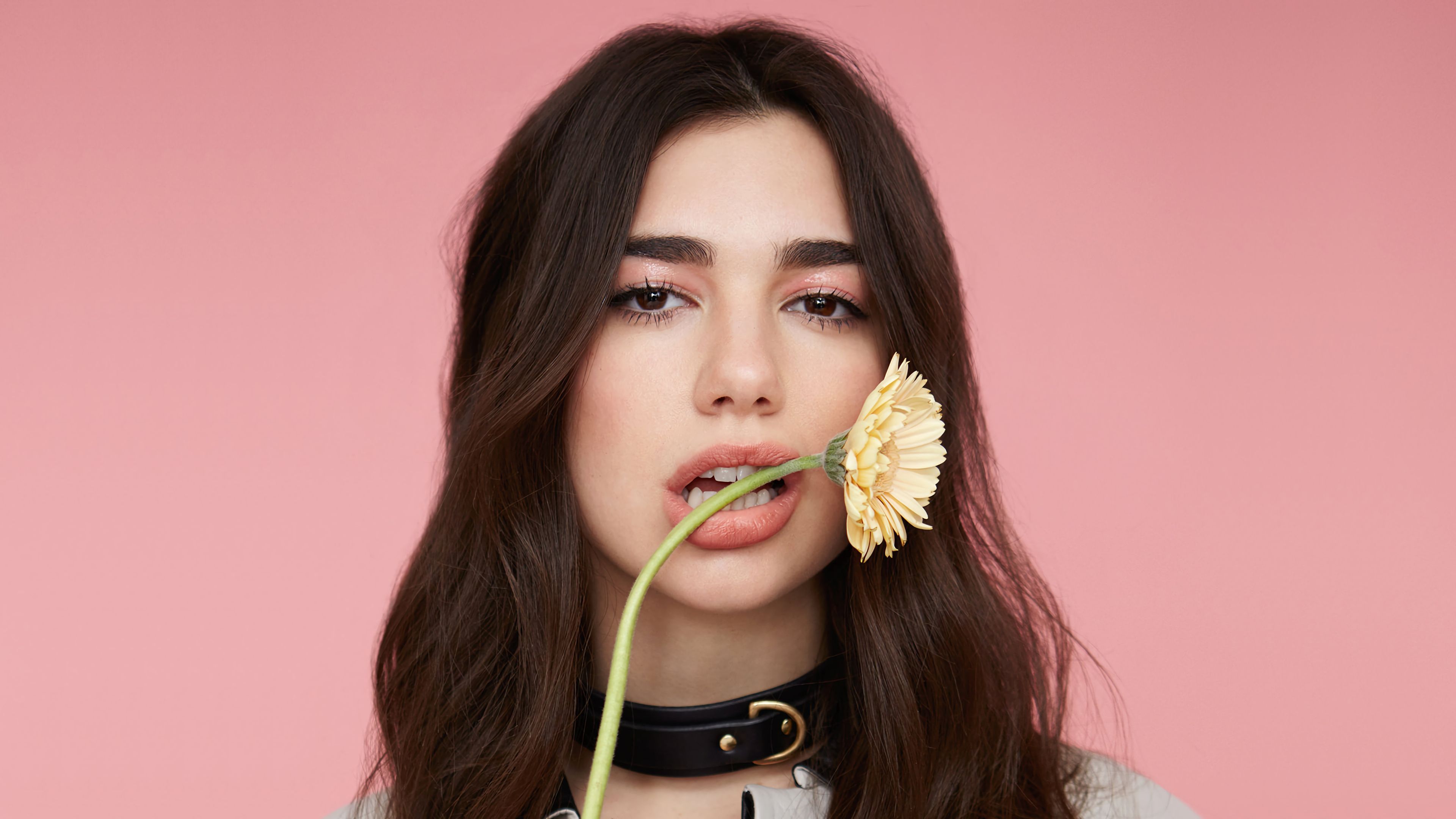 4K Dua Lipa 2020 Wallpapers