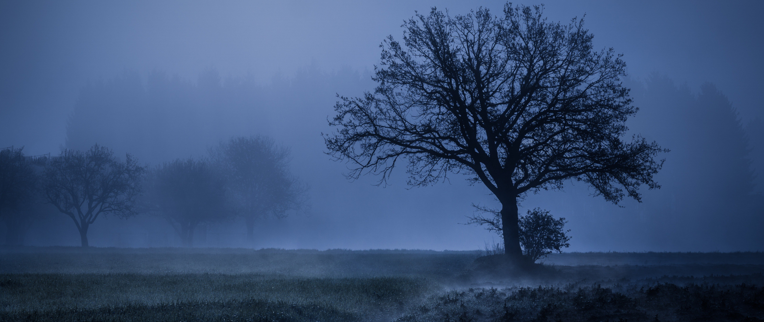 4K Foggy Landscape Wallpapers