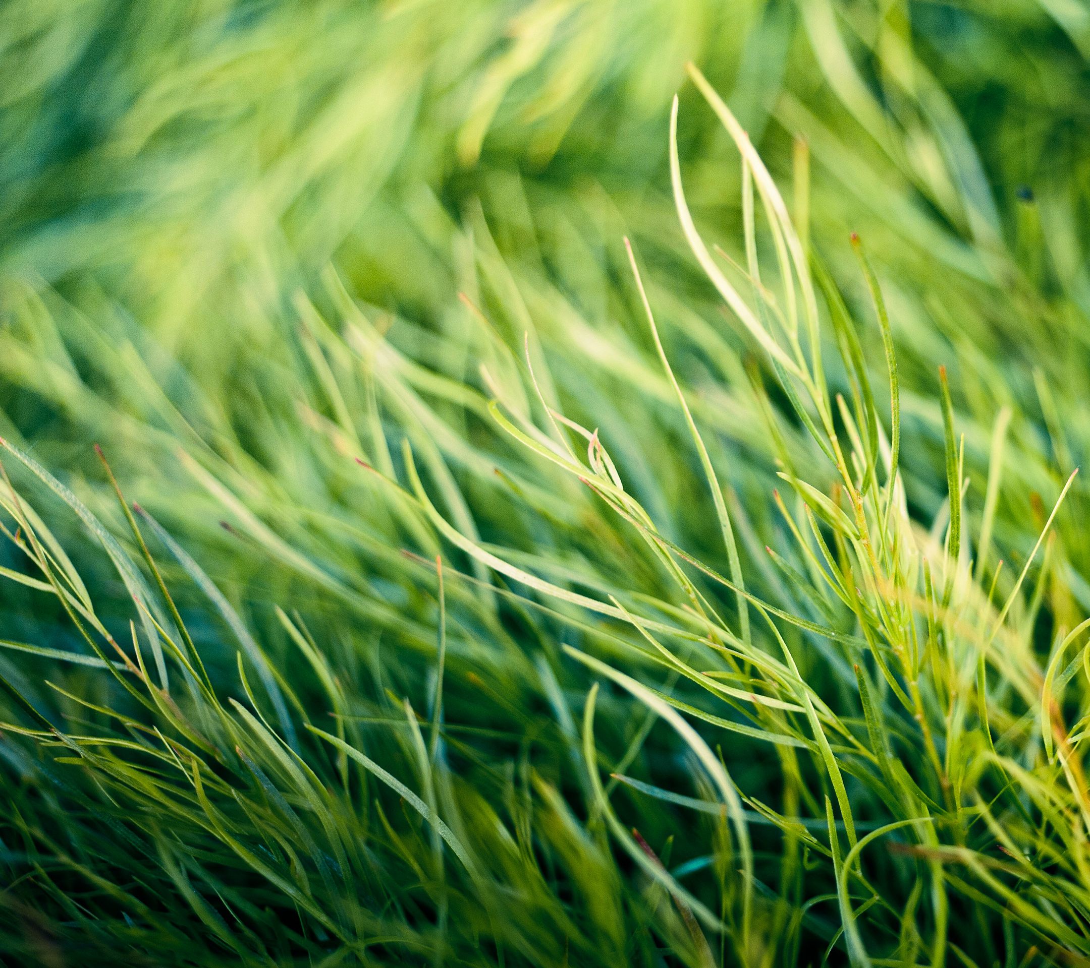 4K Hd For Htc One M8 Wallpapers