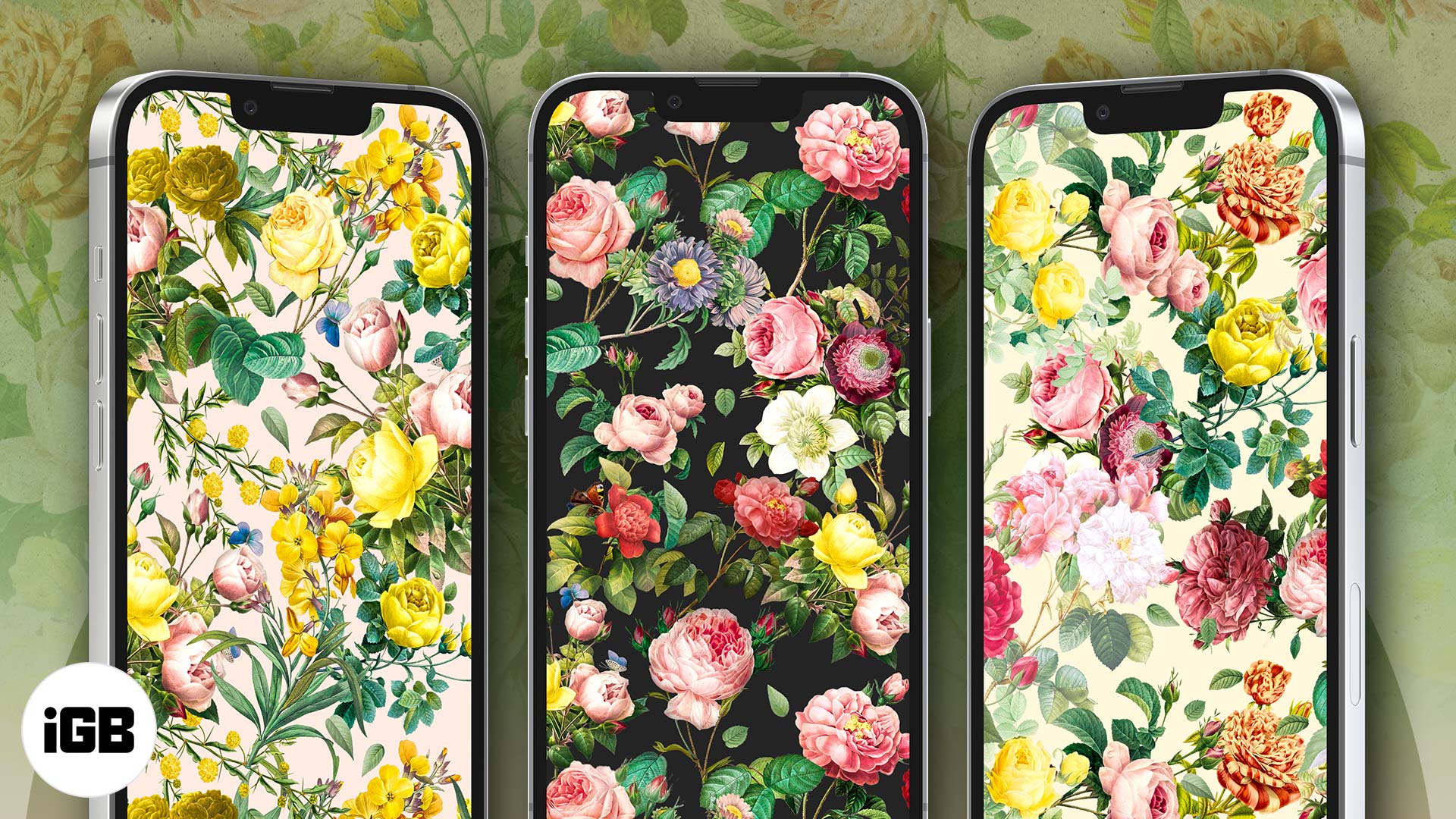 4K Iphone 11 Flowers Wallpapers