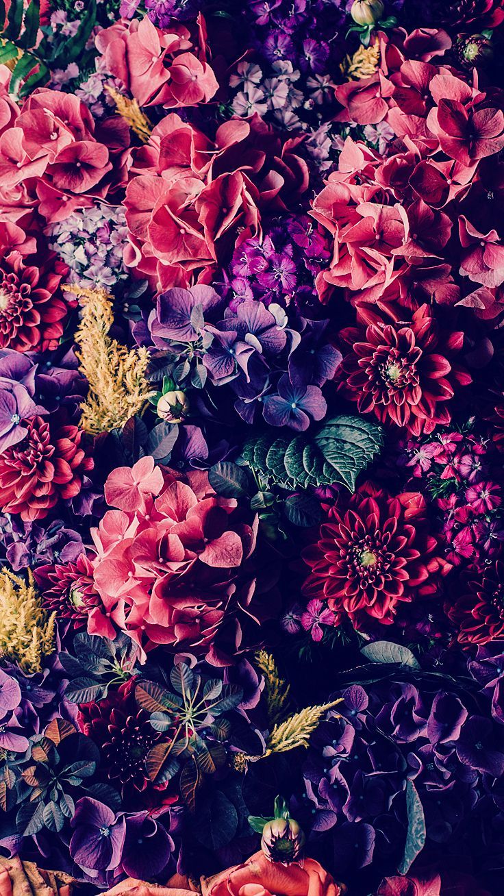 4K Iphone 11 Flowers Wallpapers