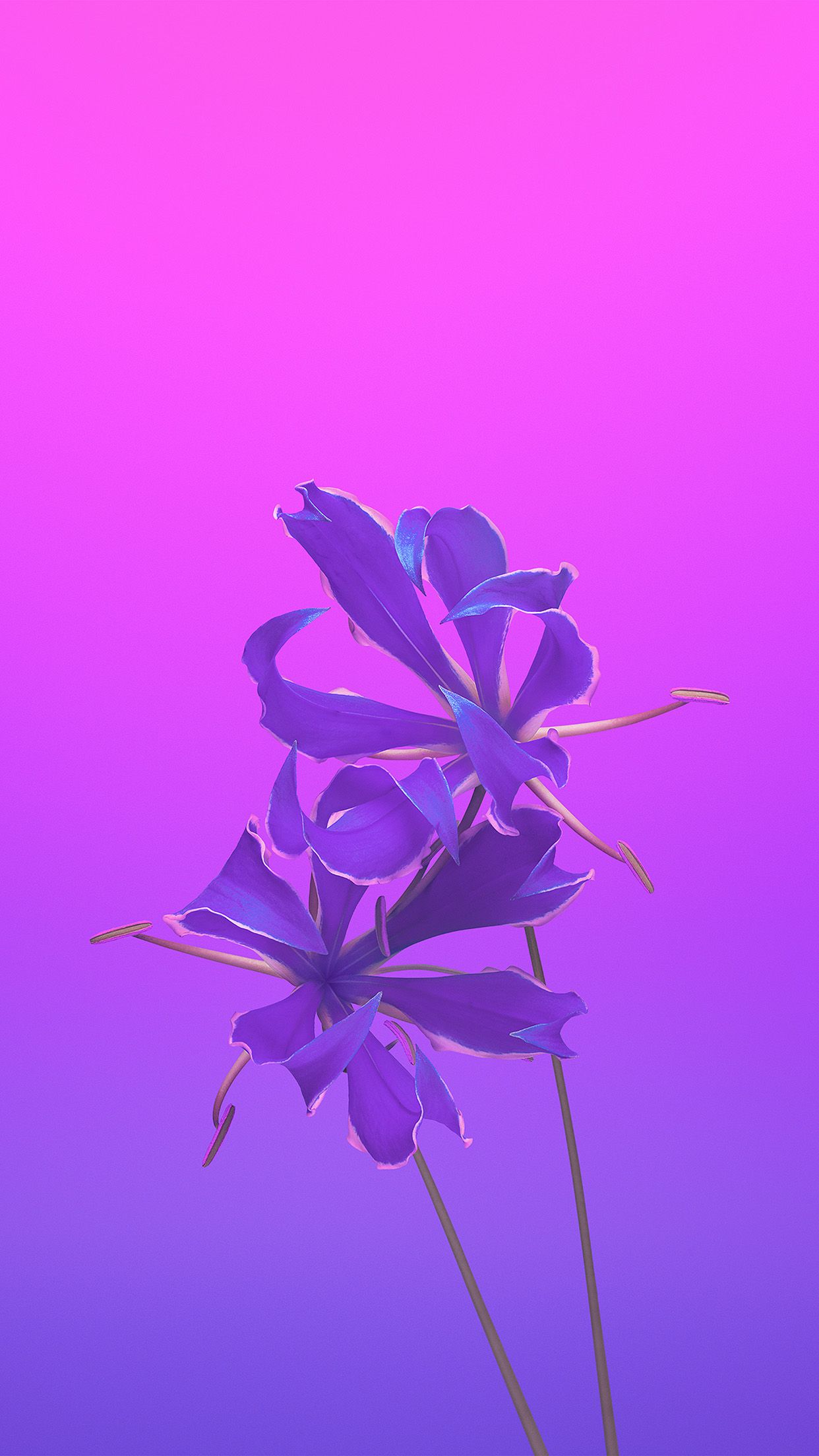 4K Iphone 11 Flowers Wallpapers