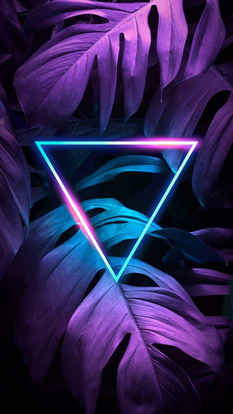 4K Neon Iphone Wallpapers