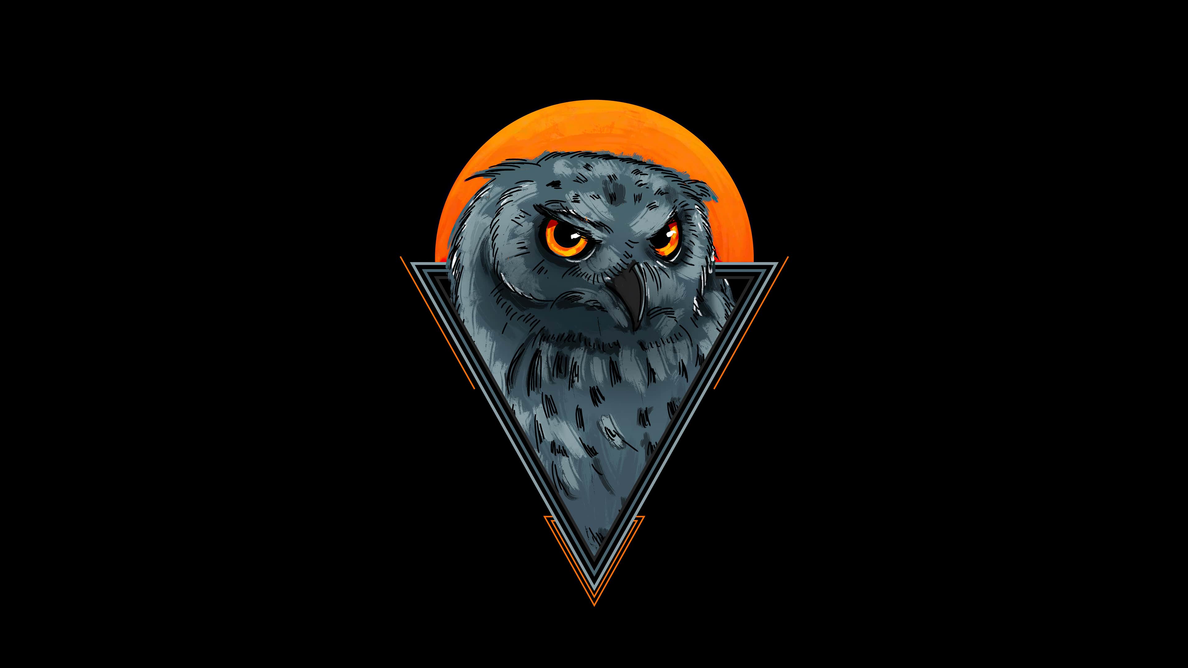 4K Owl Wallpapers