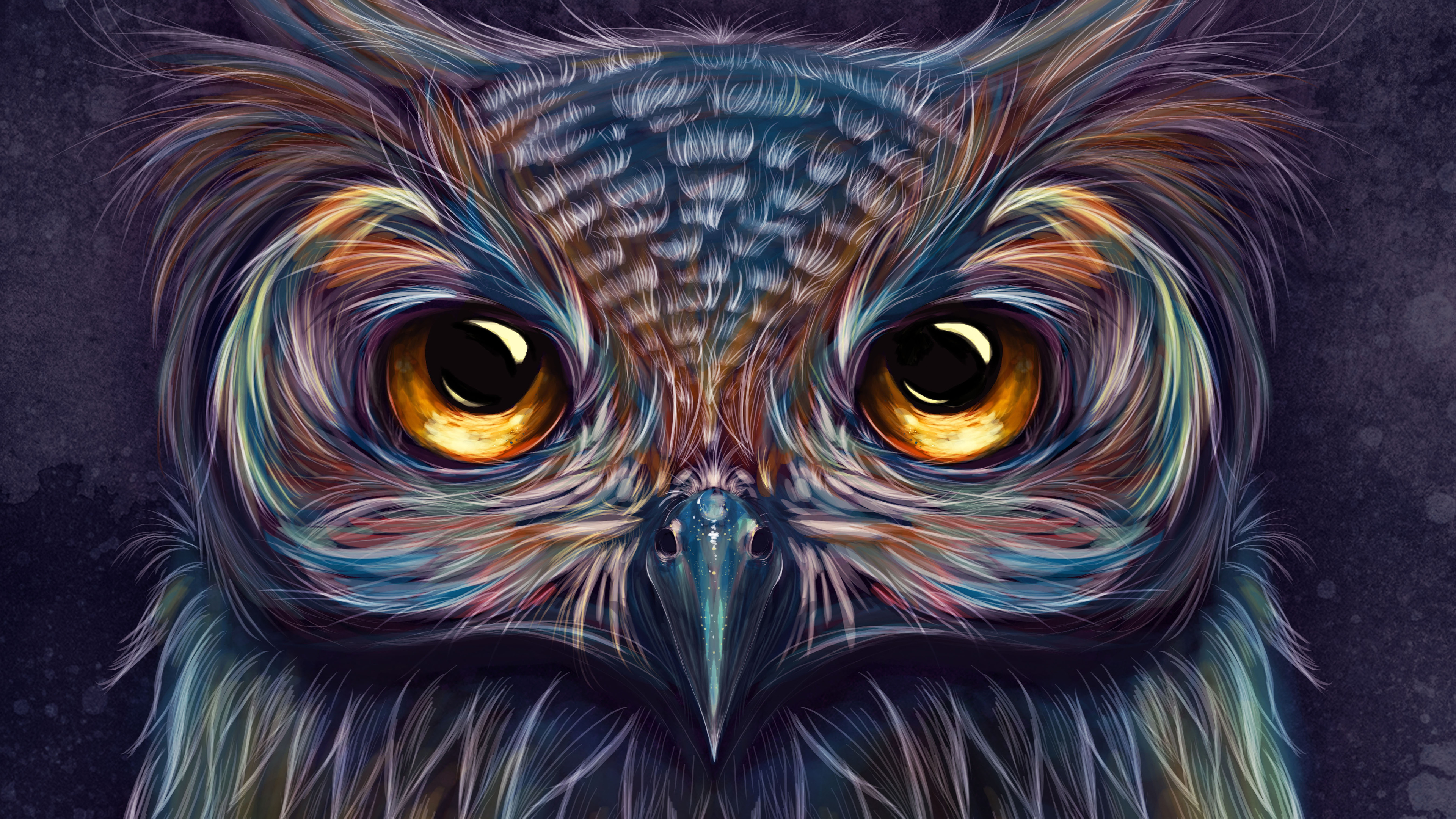 4K Owl Wallpapers
