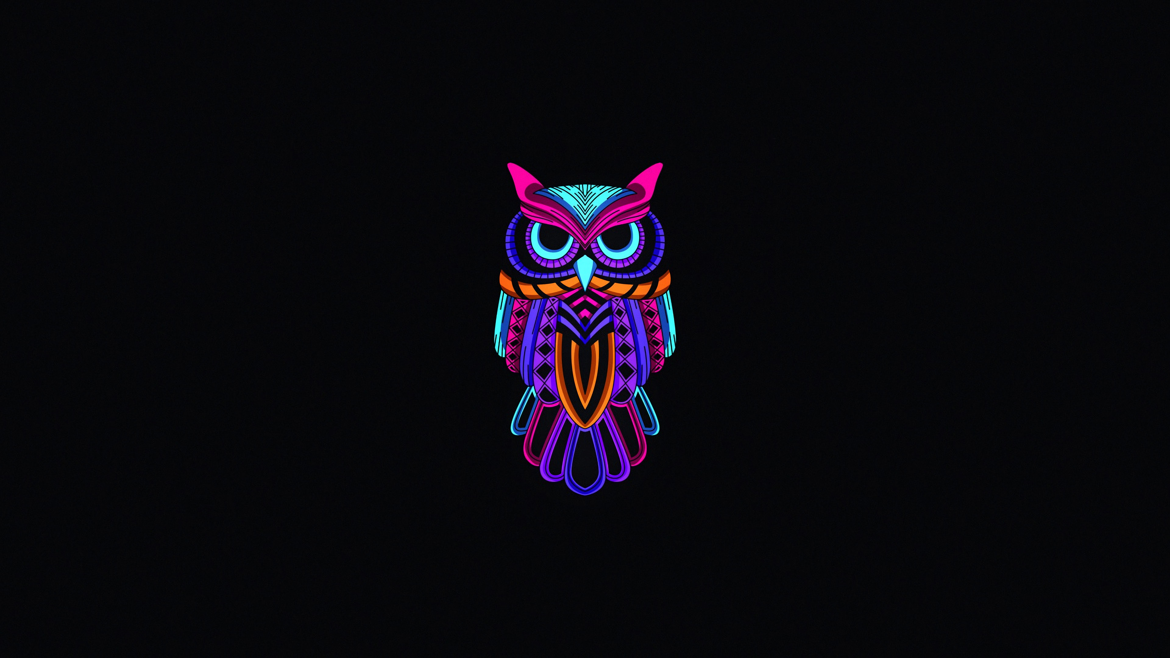 4K Owl Wallpapers