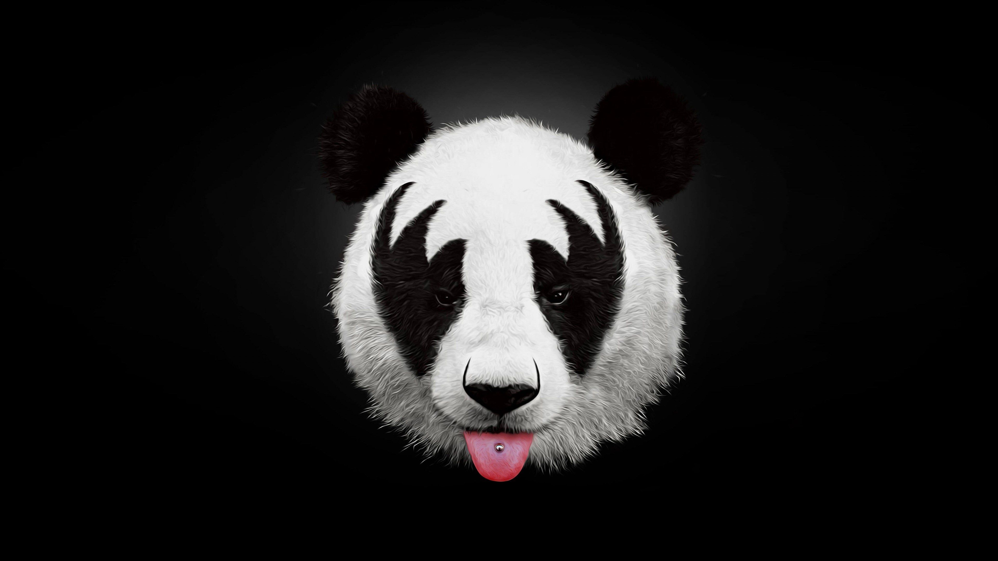 4K Panda Wallpapers