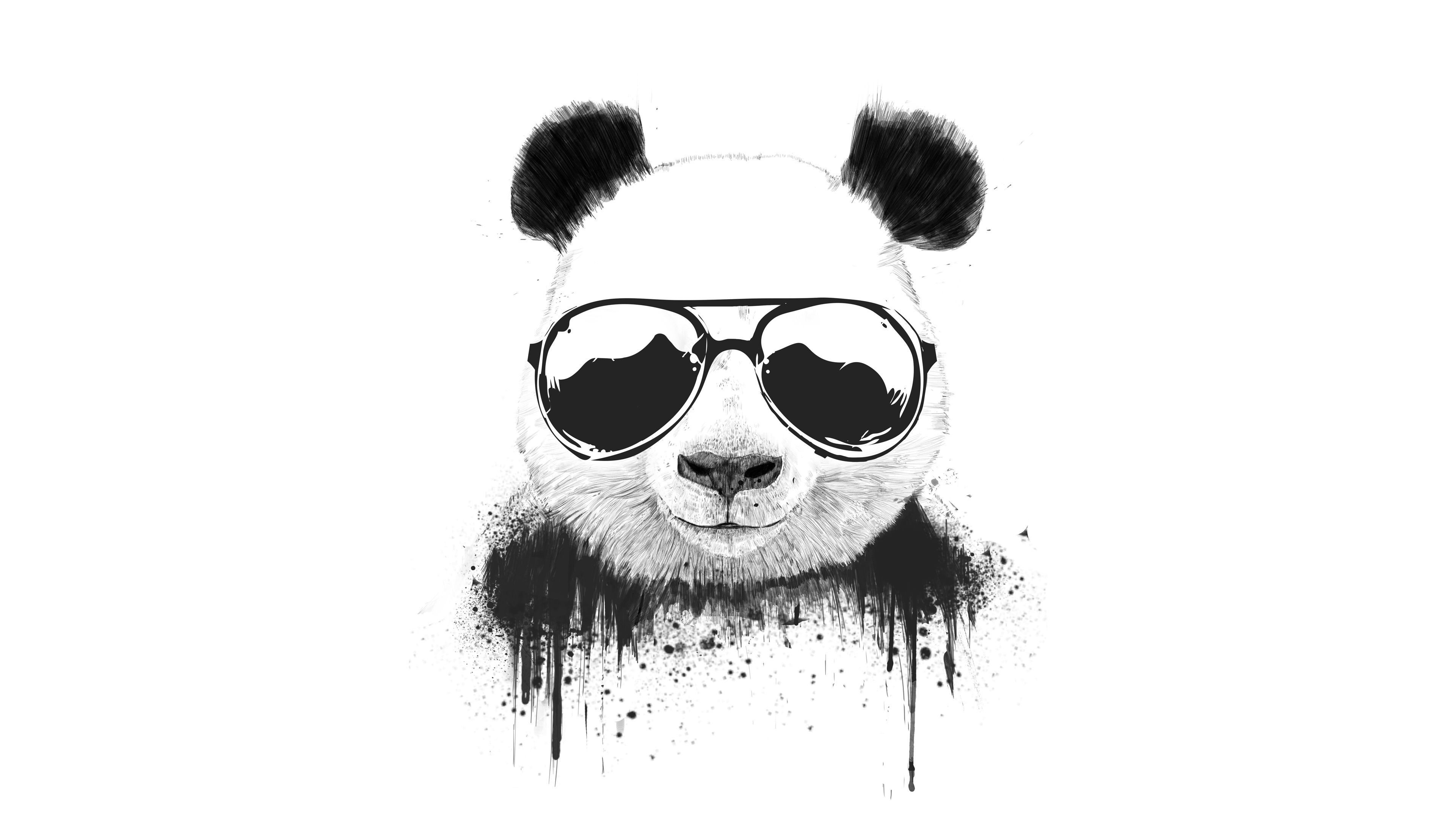 4K Panda Wallpapers