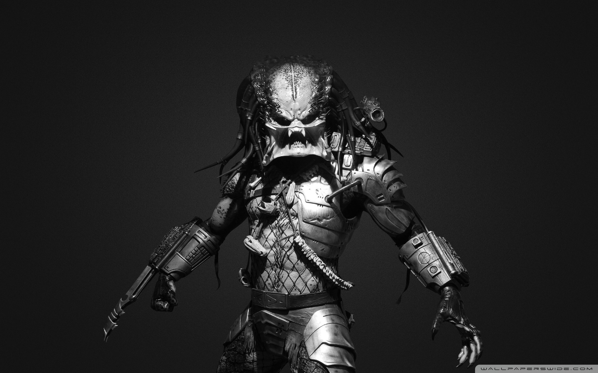 4K Predator Wallpapers