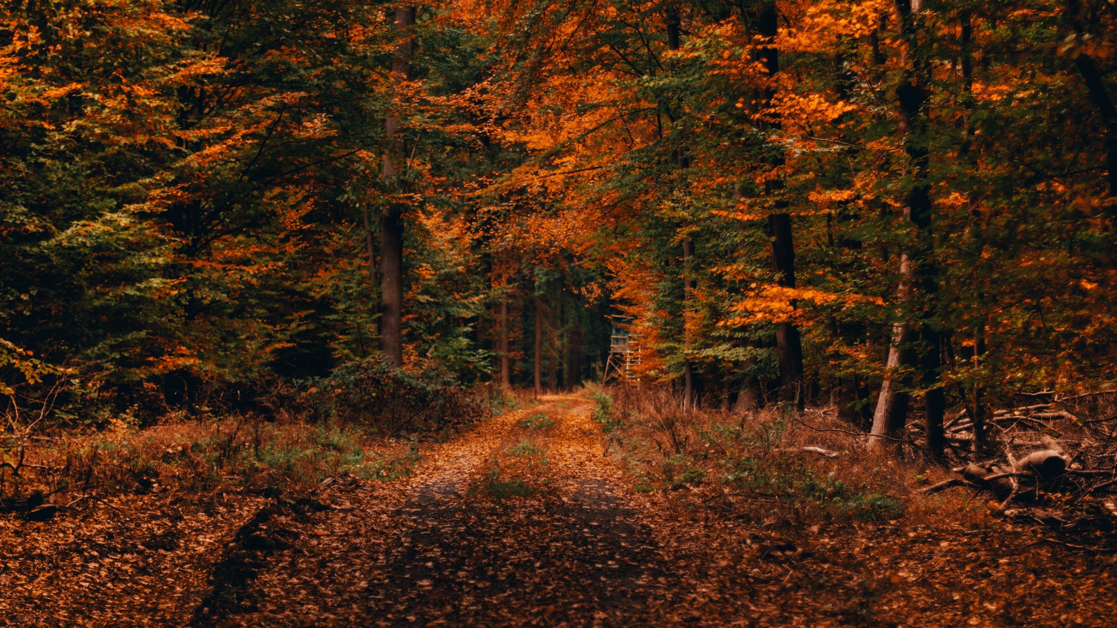 4K Ultra Hd Autumn Wallpapers