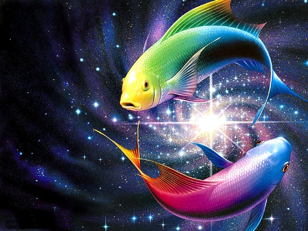 4K Ultra Hd Fish Wallpapers