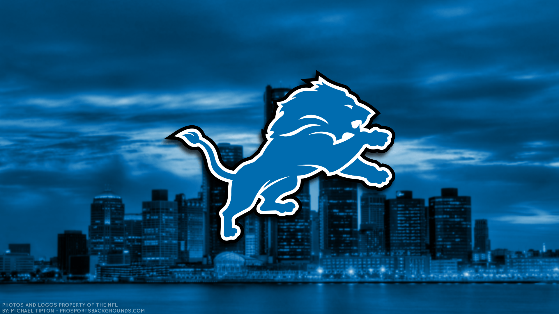 50 Lions Wallpapers