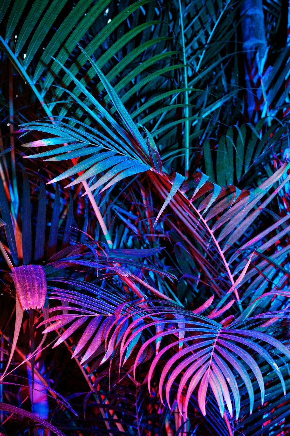 80S Neon Palm Trees Wallpapers