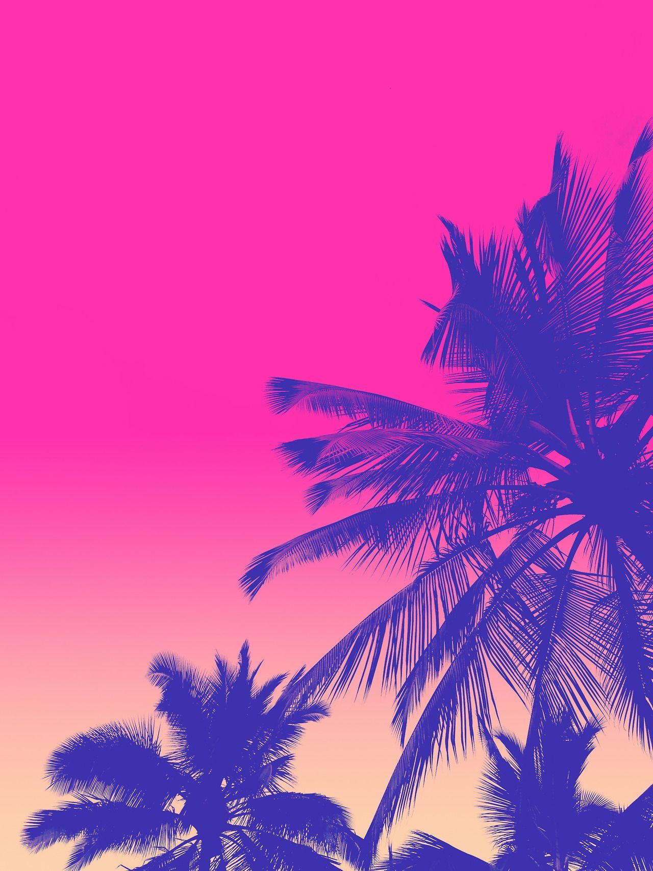 80S Neon Palm Trees Wallpapers