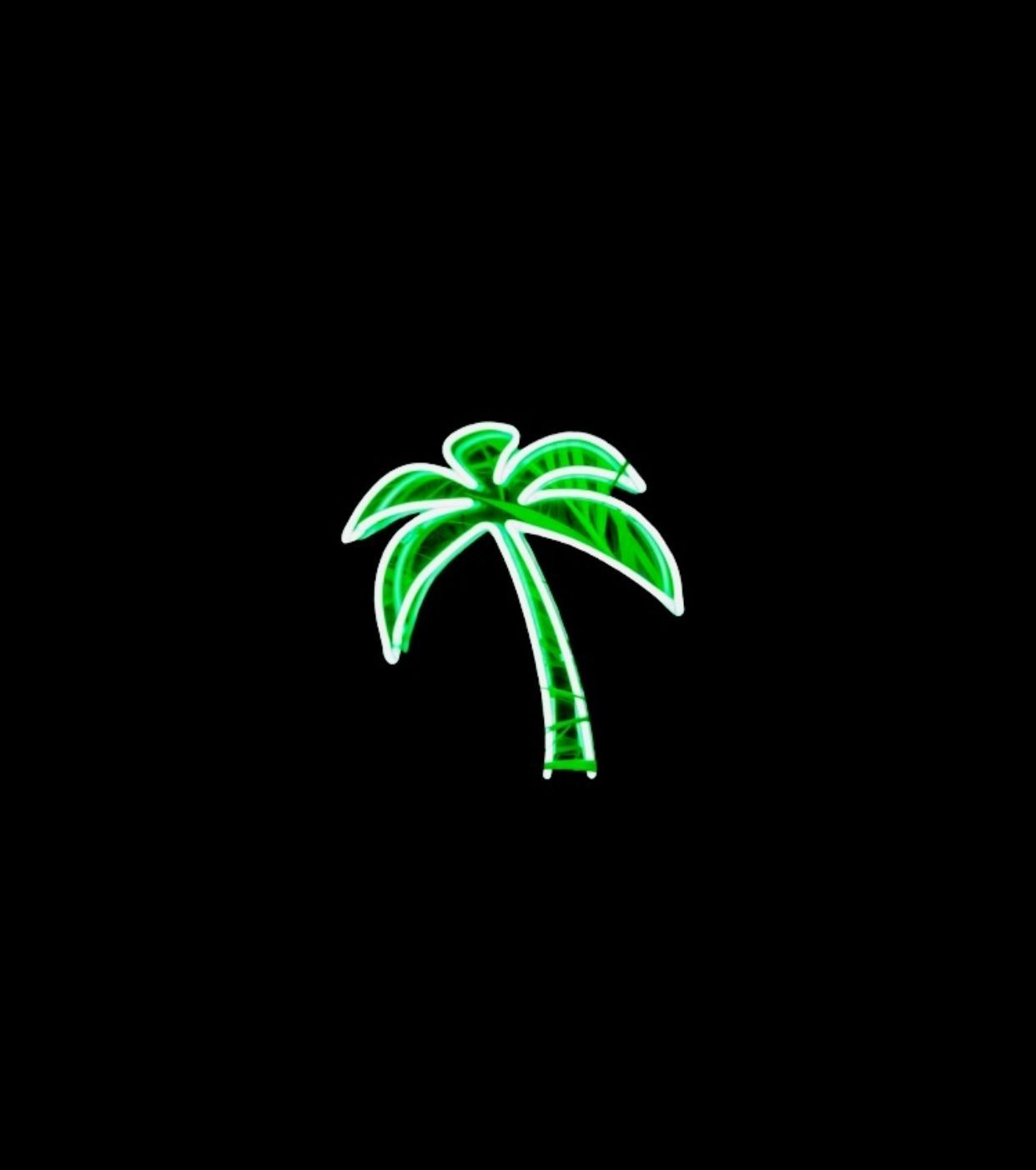 80S Palm Trees Wallpapers