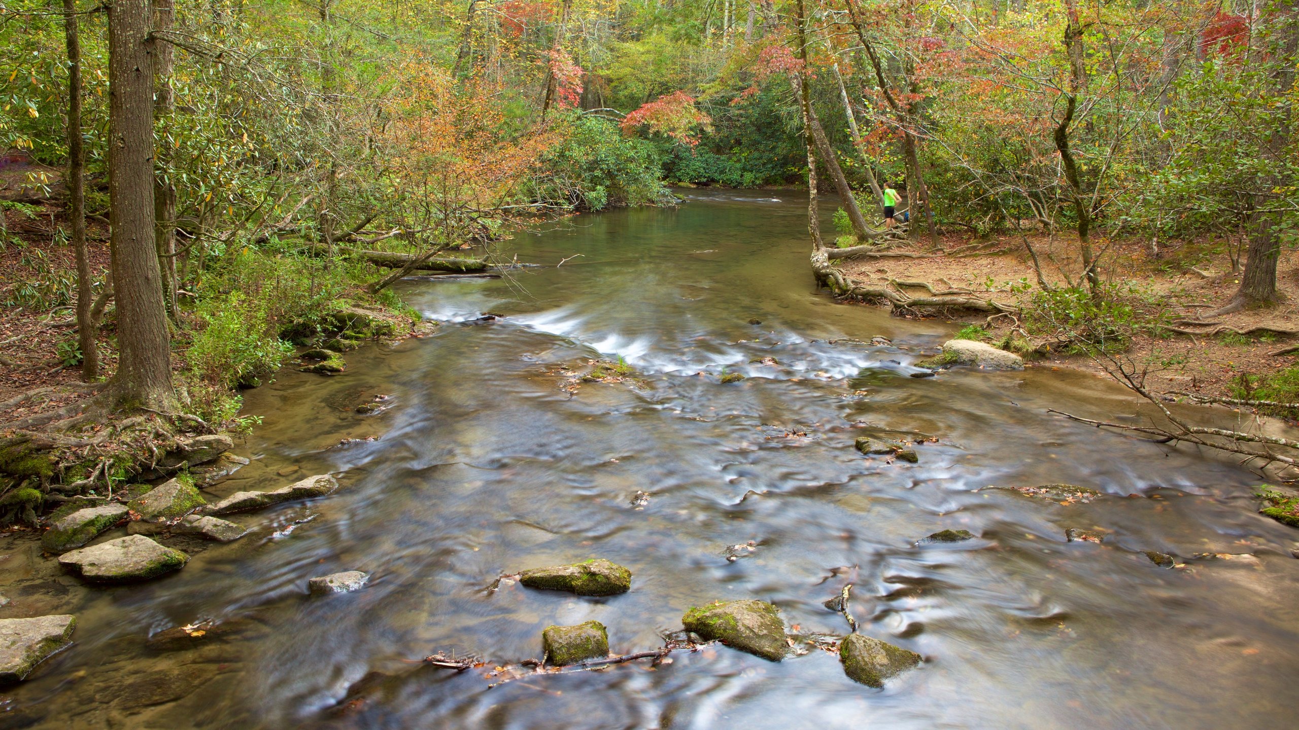 Abrams Falls Wallpapers