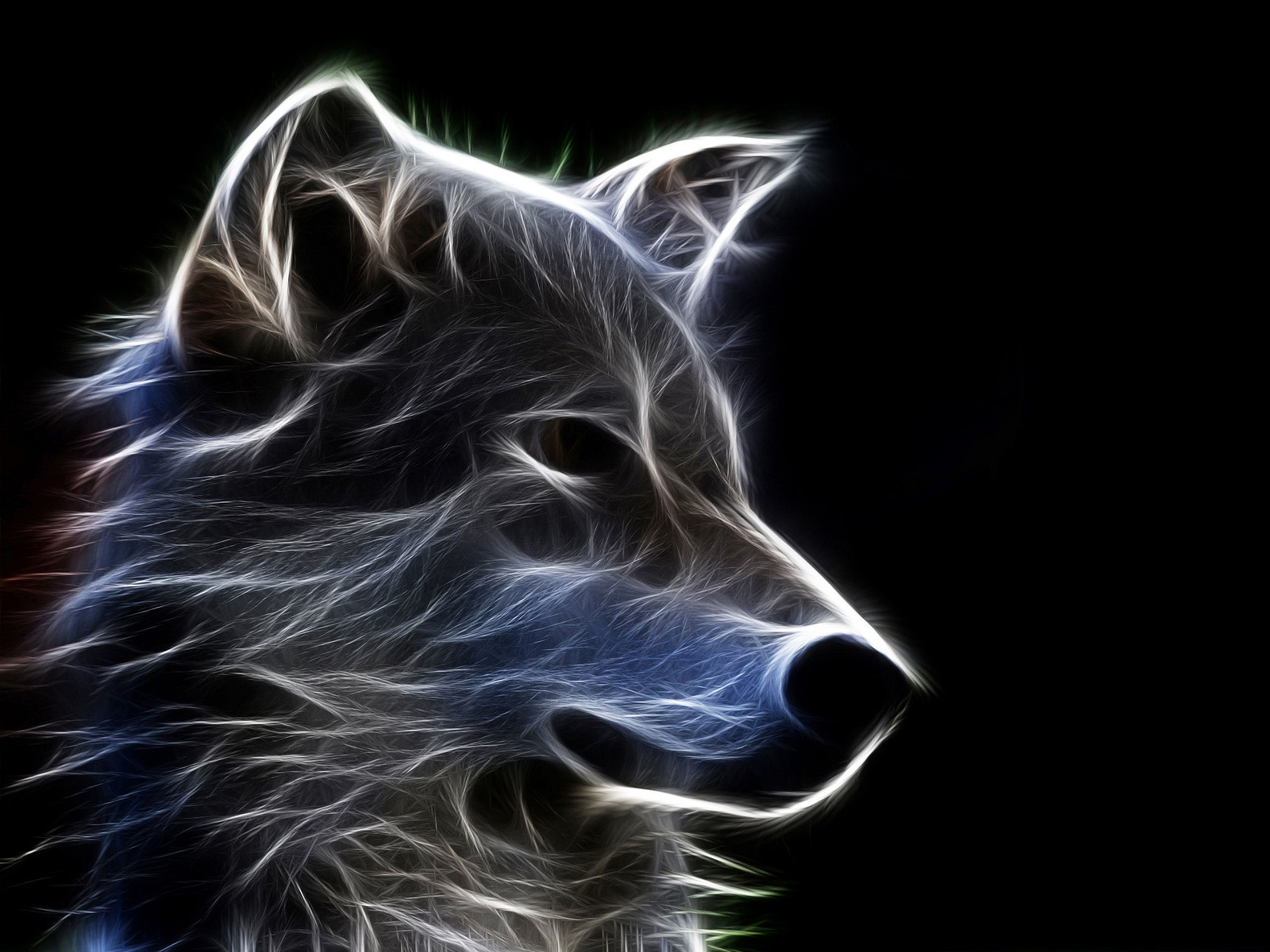 Abstract Animal Wallpapers