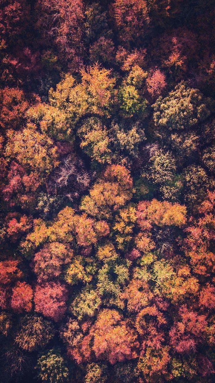 Abstract Autumn Wallpapers