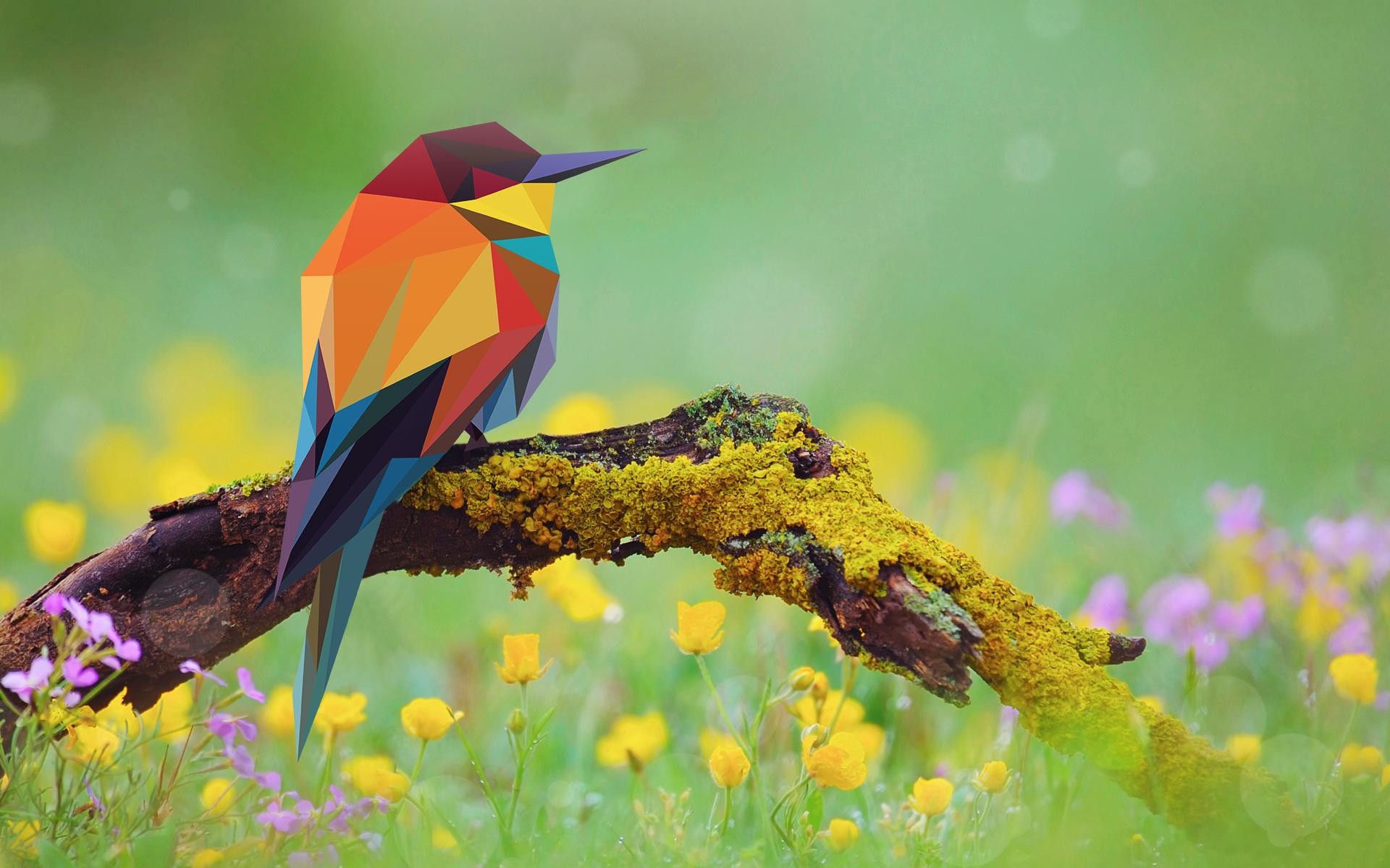 Abstract Bird Wallpapers