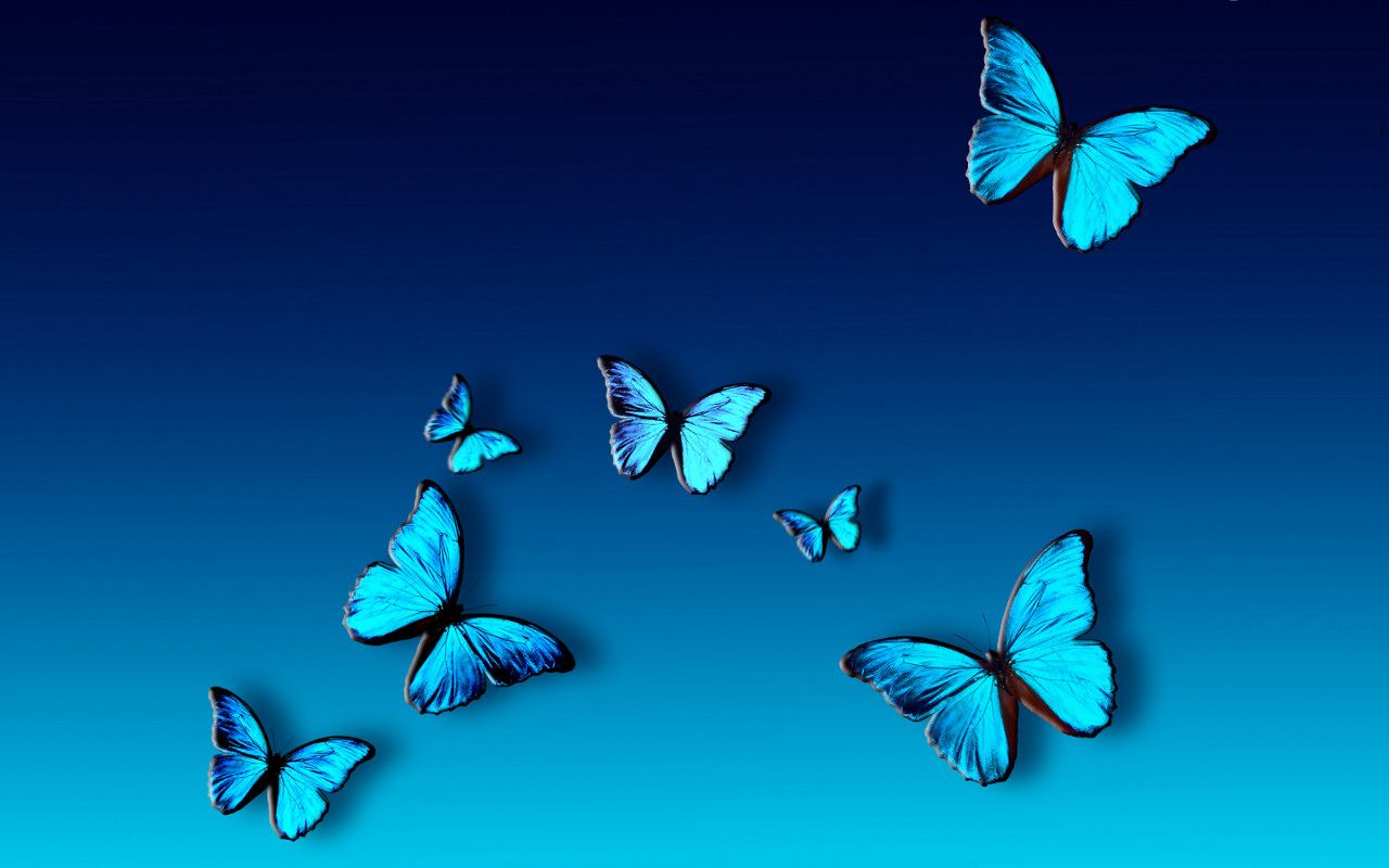 Abstract Butterflies Desktop Wallpapers