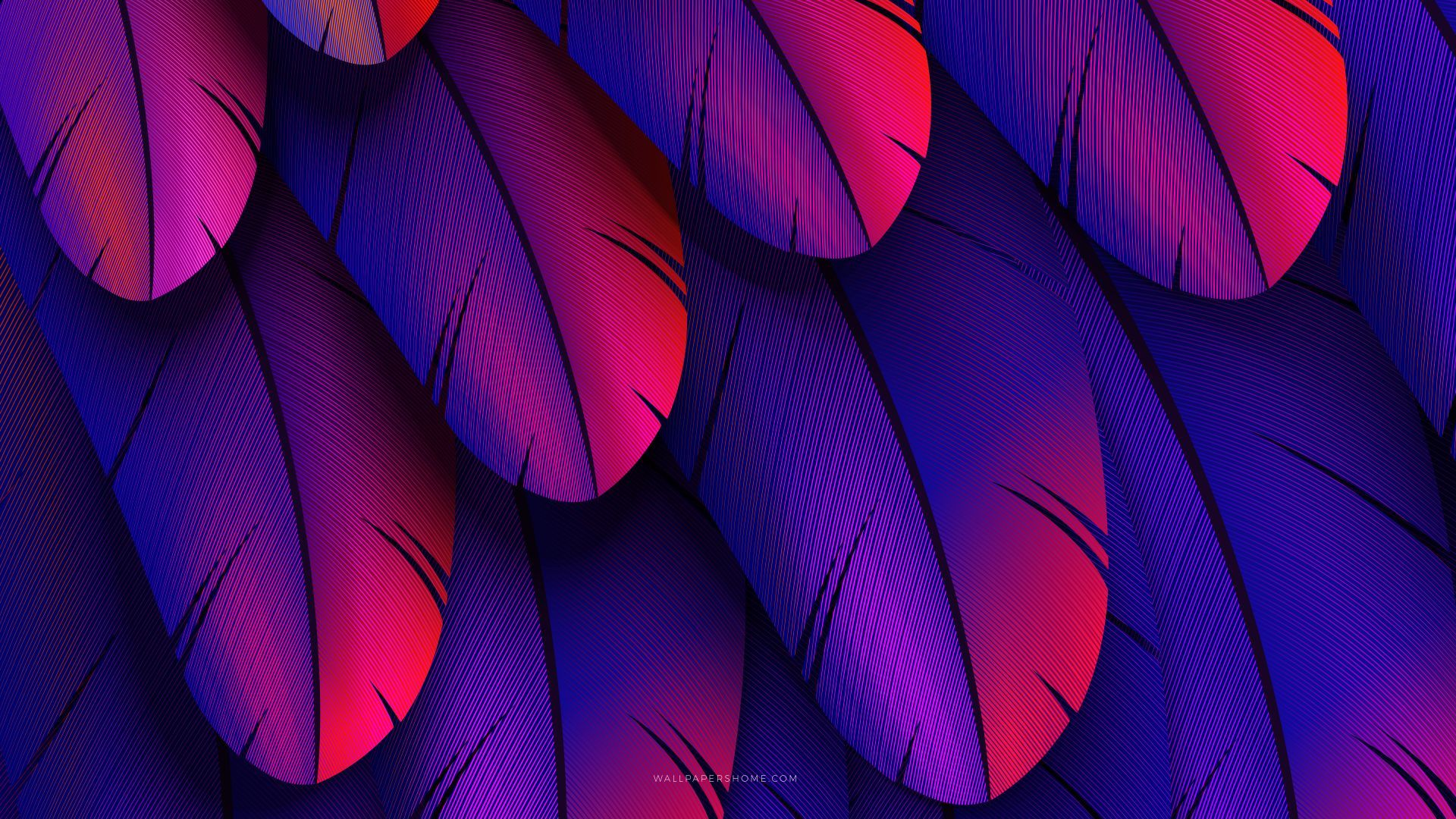 Abstract Colors 8K Gradient Art Wallpapers