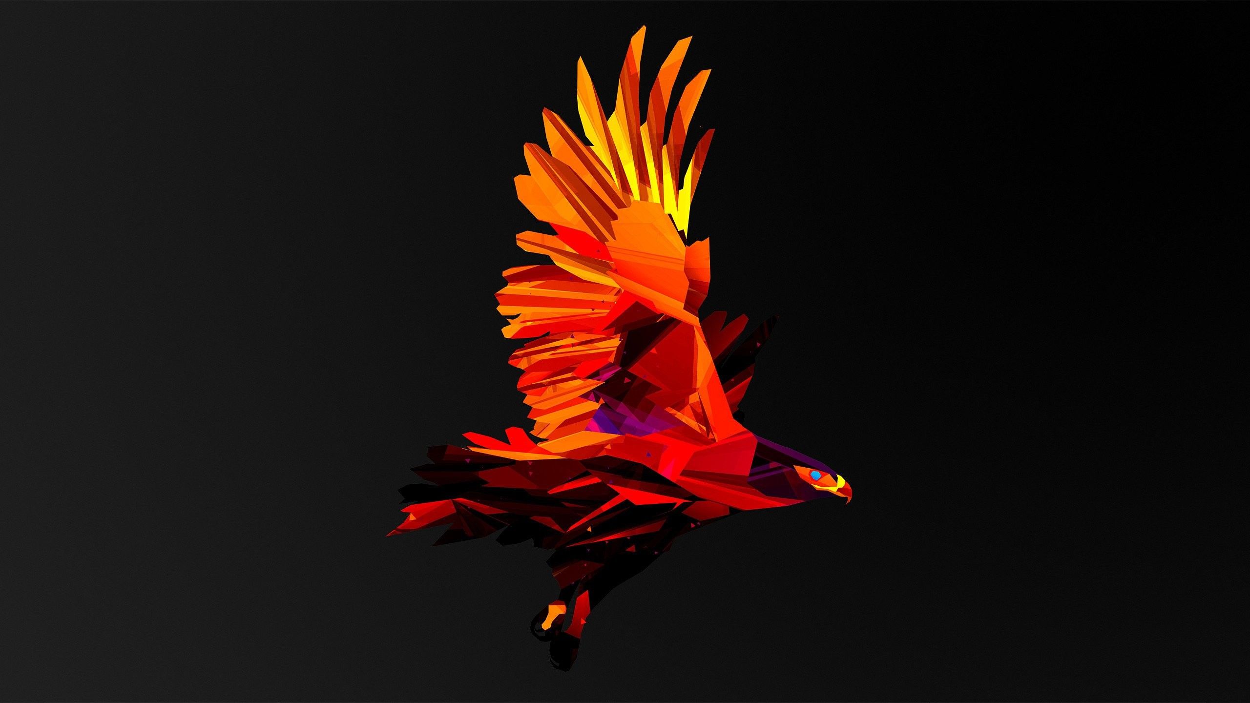 Abstract Colors Flashy Bird Wallpapers