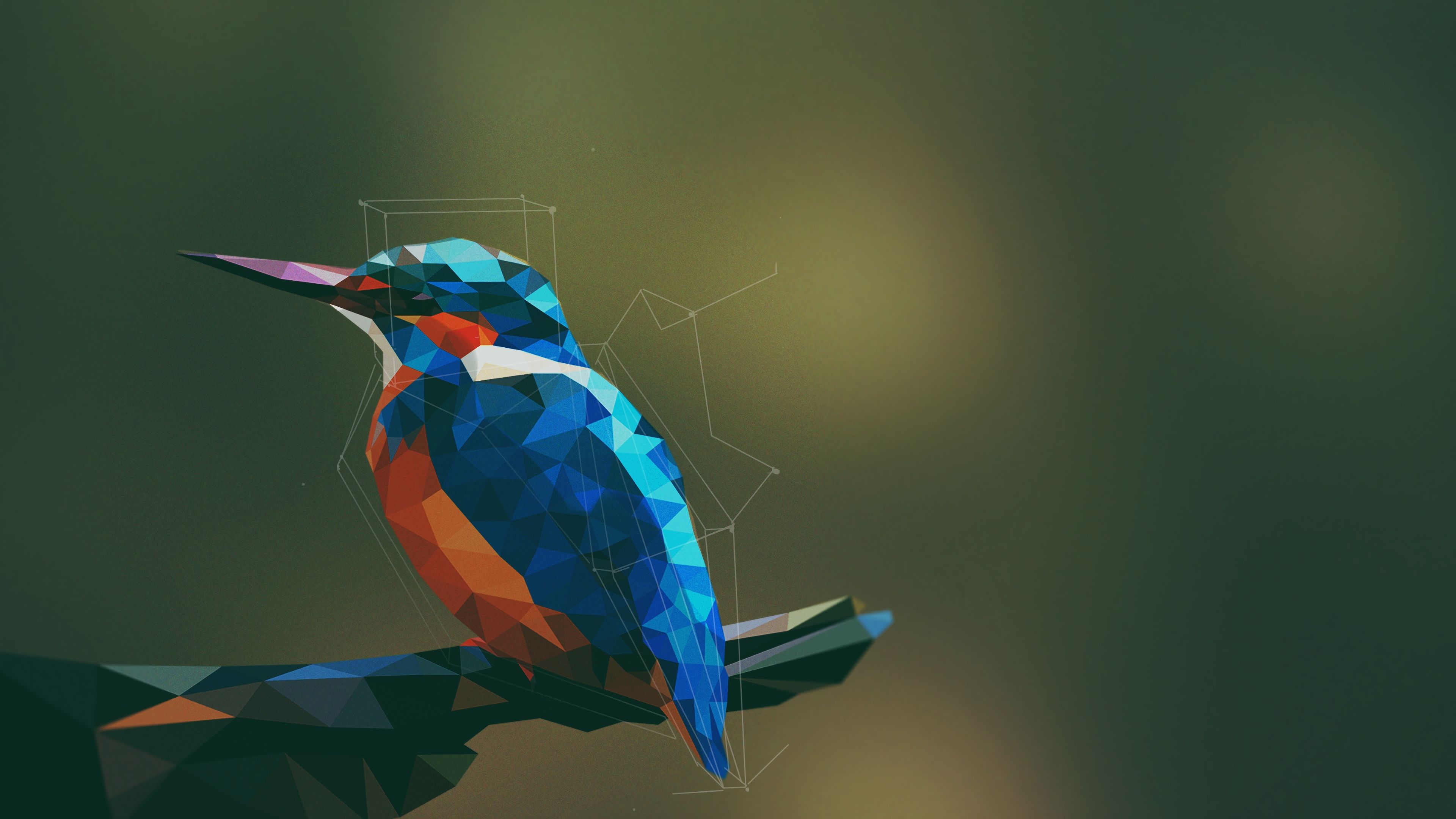 Abstract Colors Flashy Bird Wallpapers