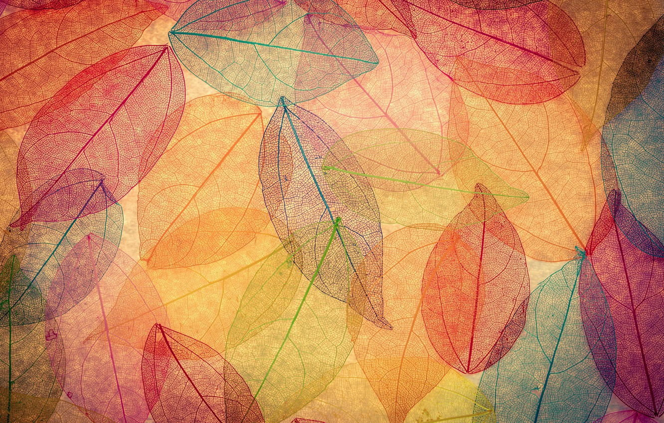 Abstract Colors Leaf Wallpapers