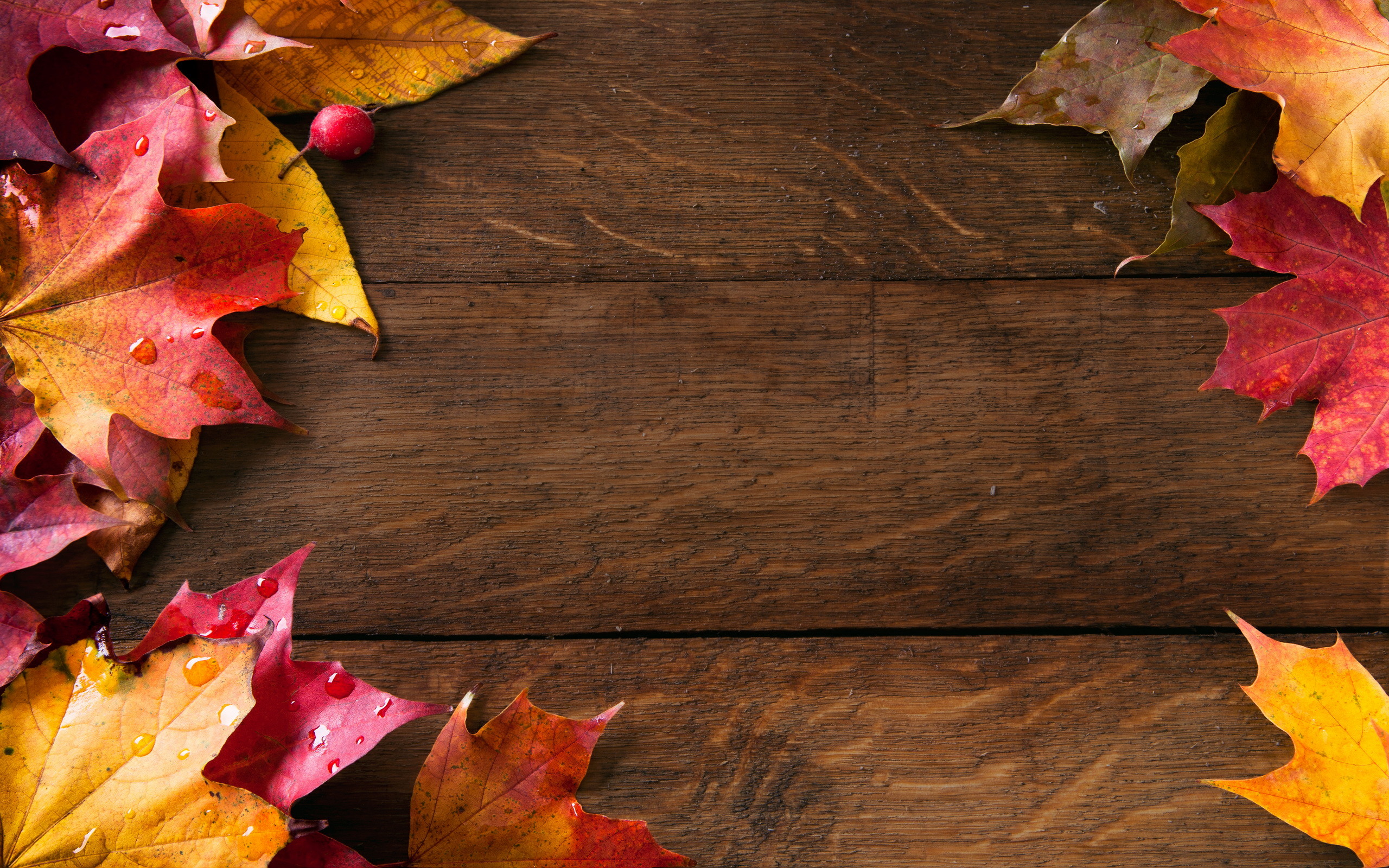 Abstract Fall Background