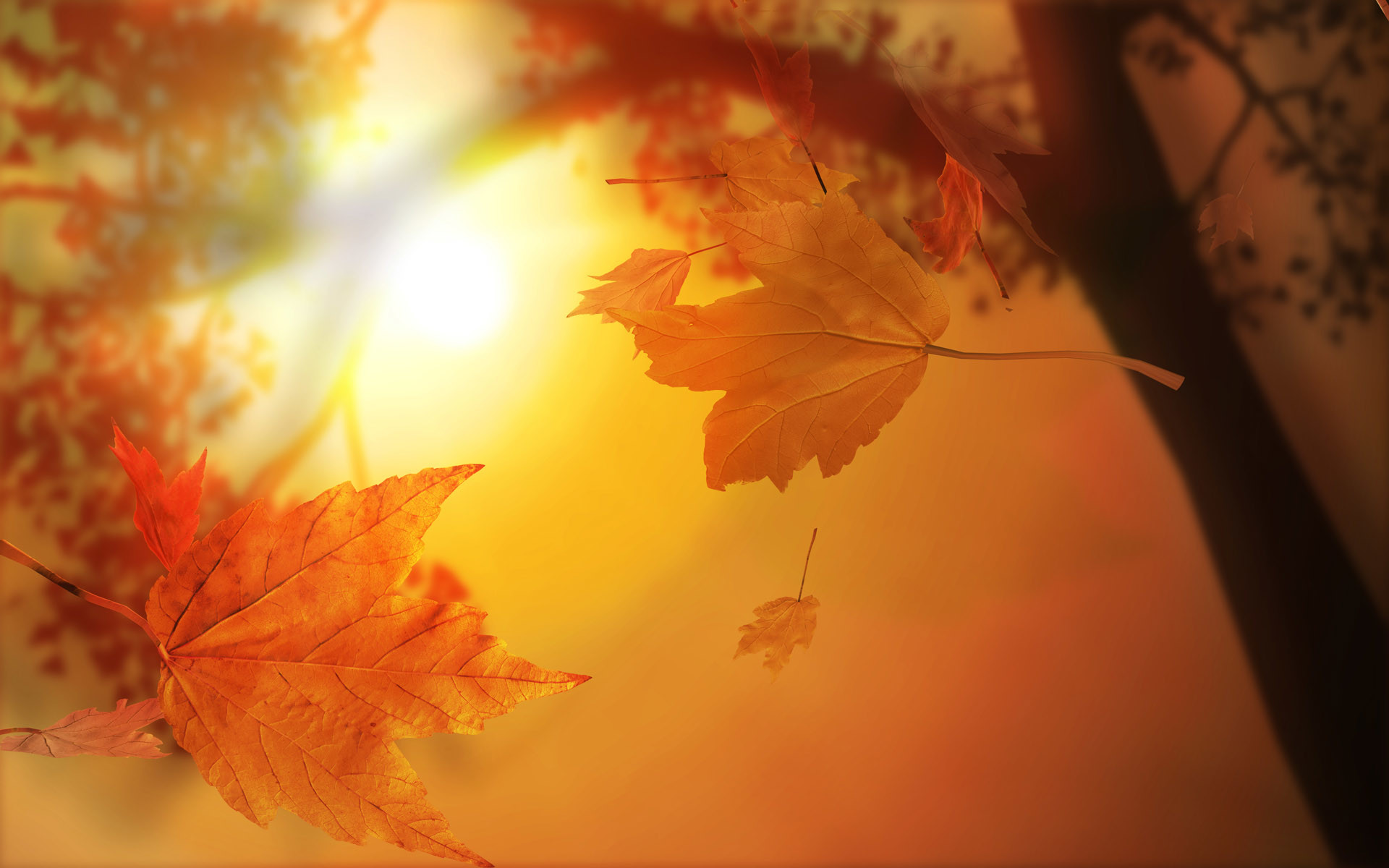 Abstract Fall Background