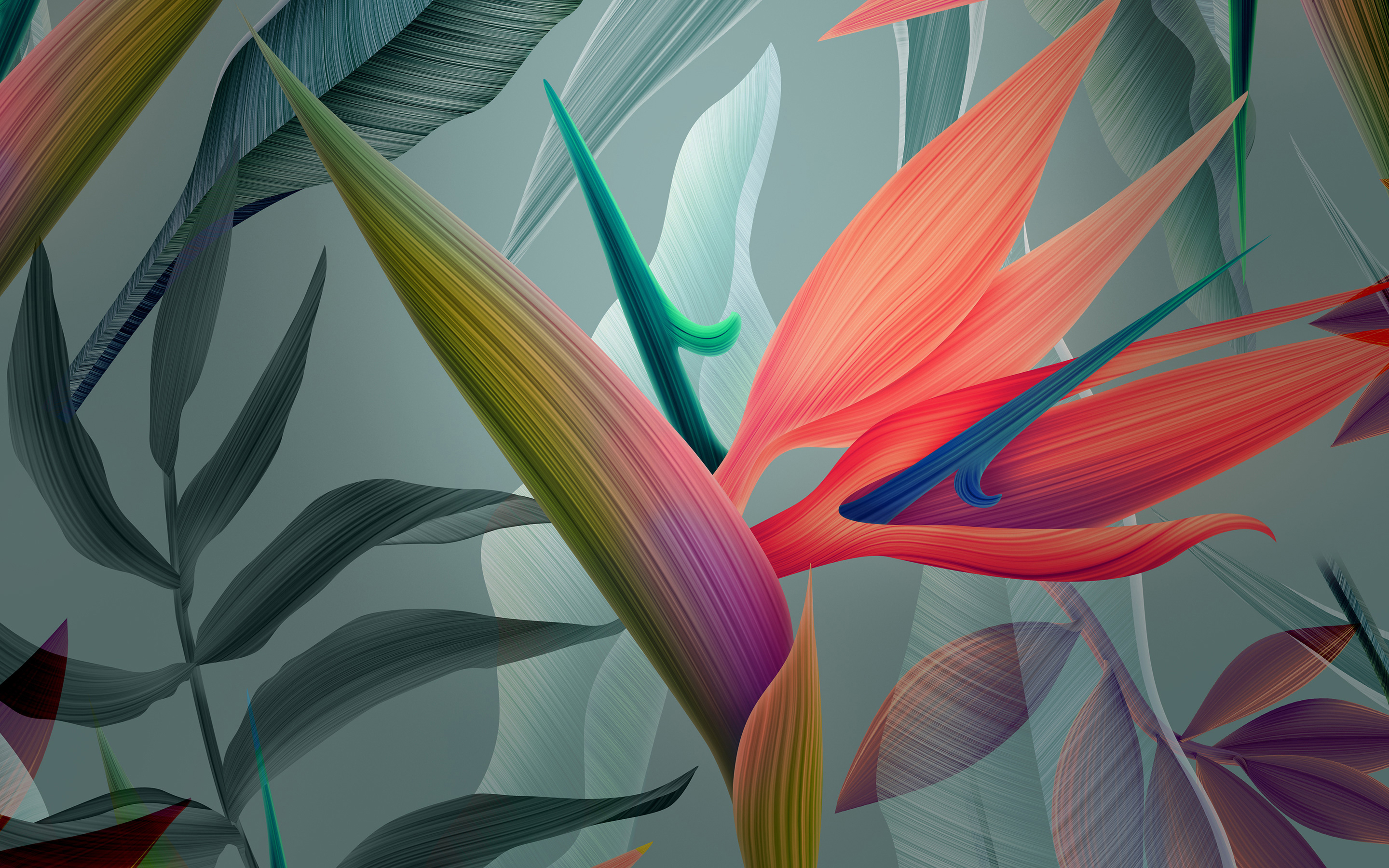 Abstract Floral Desktop Wallpapers